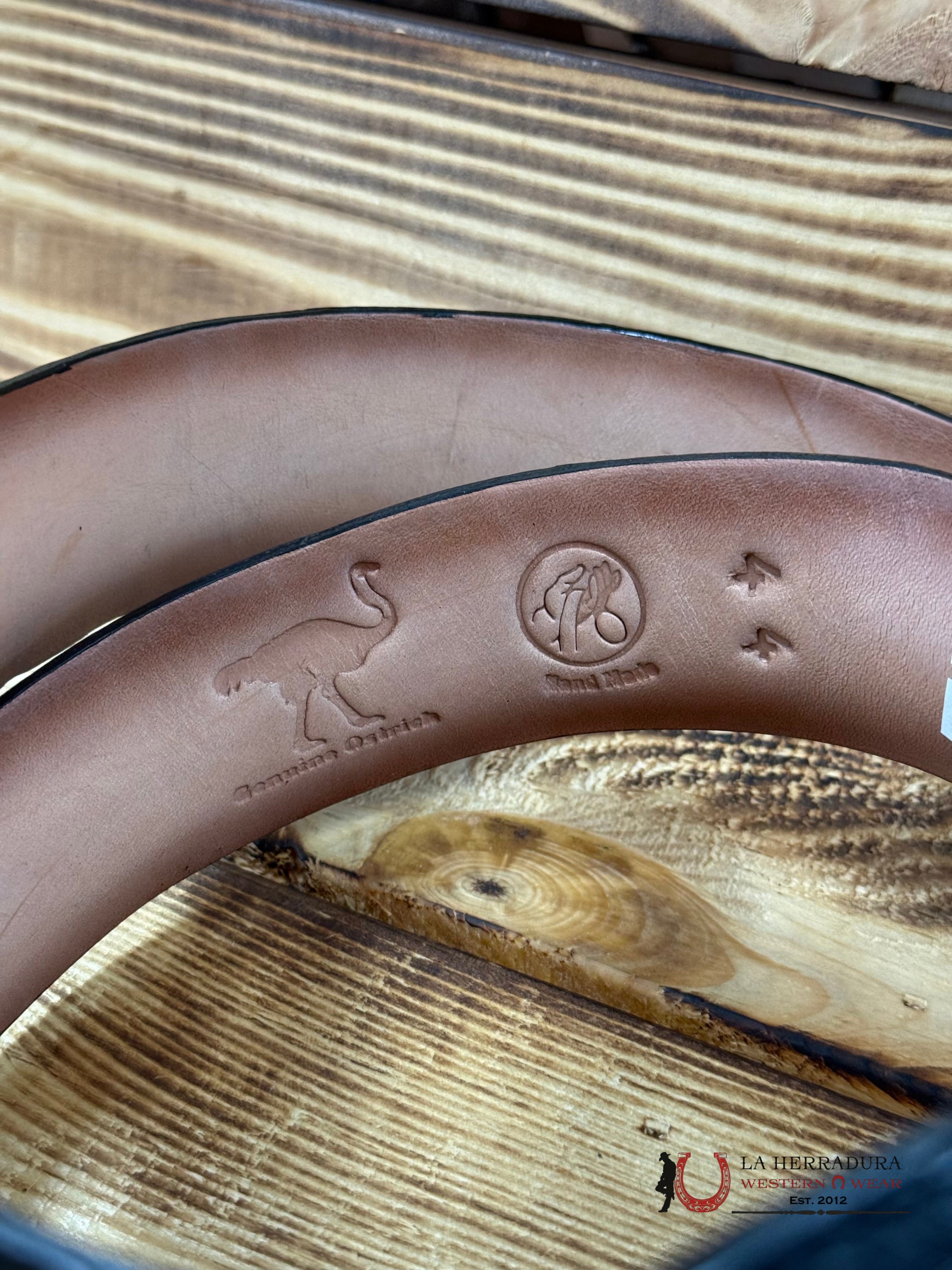 EXOTIC LOS ALTOS OSTRICH BLACK BELT ROUND BUCKLE CINTURONES HOMBRES