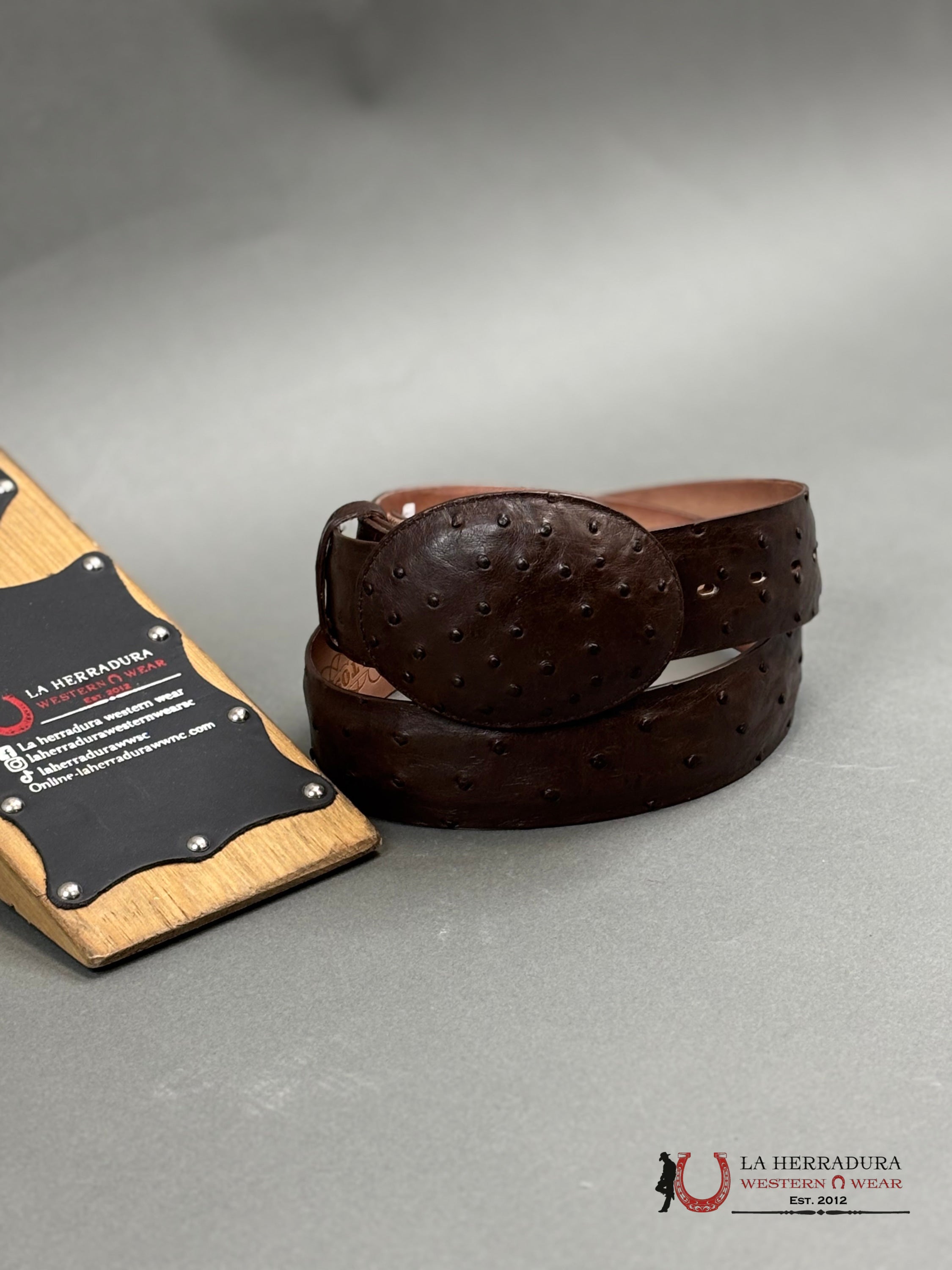 Exotic Ostrich Brown Belt Round Buckle Cinturones Hombres