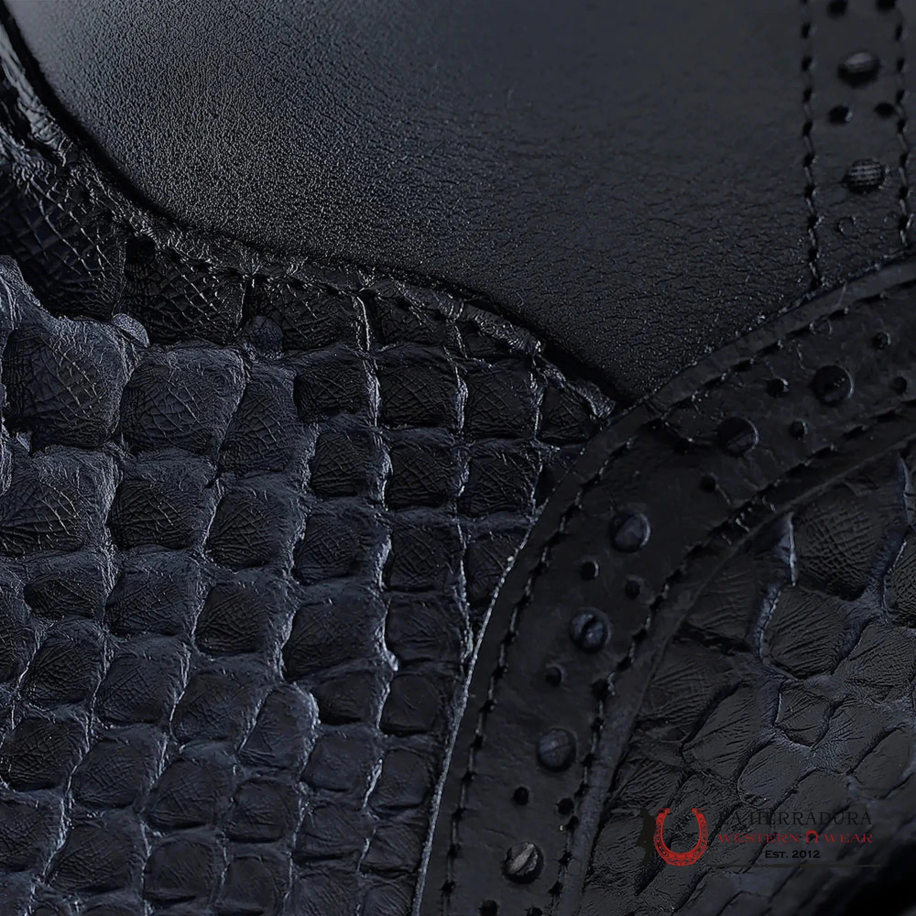 FRANCO CUADRA PYTHON TERNERA INCA BLACK SHORT BOOT FC817 BOTAS HOMBRES