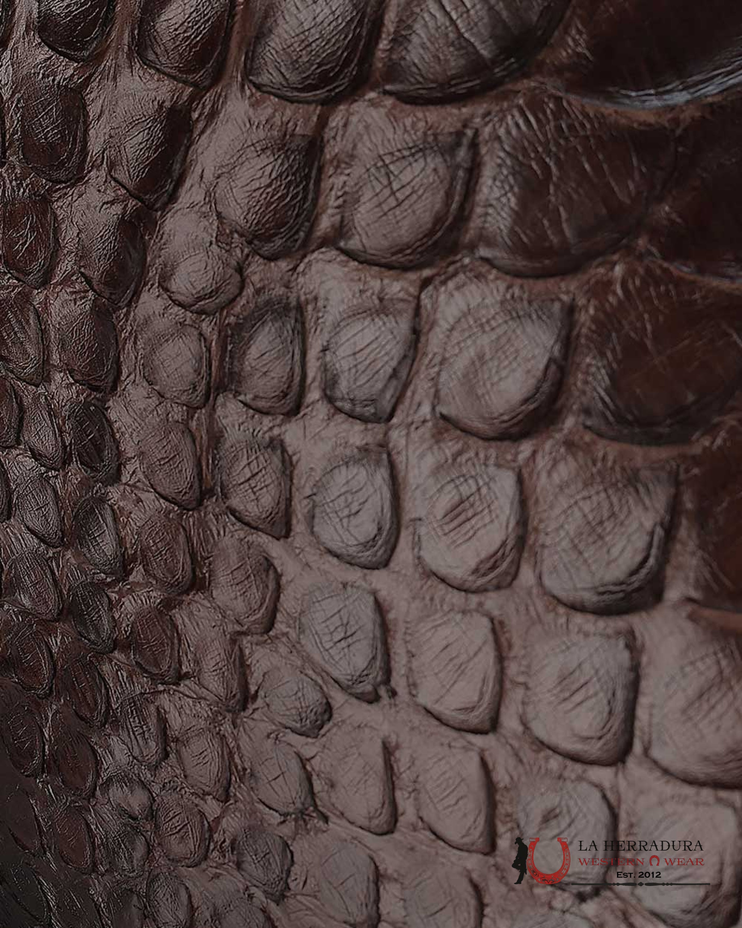 FRANCO CUADRA PYTHON TERNERA INCA CHOCO BROWN SHORT BOOT FC818 BOTAS HOMBRES