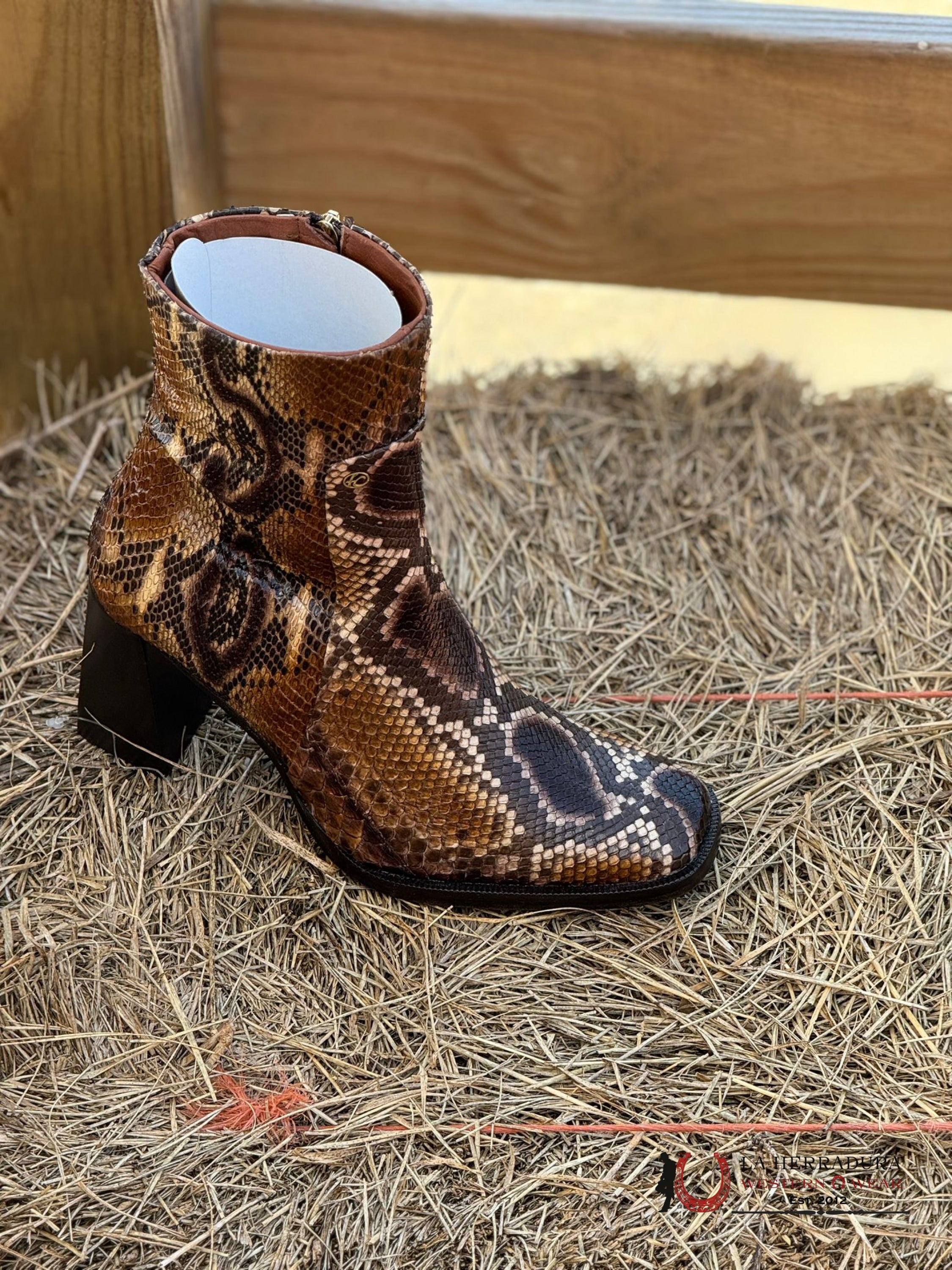 Franco Cuadra Short Boot Python Ret Honey Miel Botas Mujeres