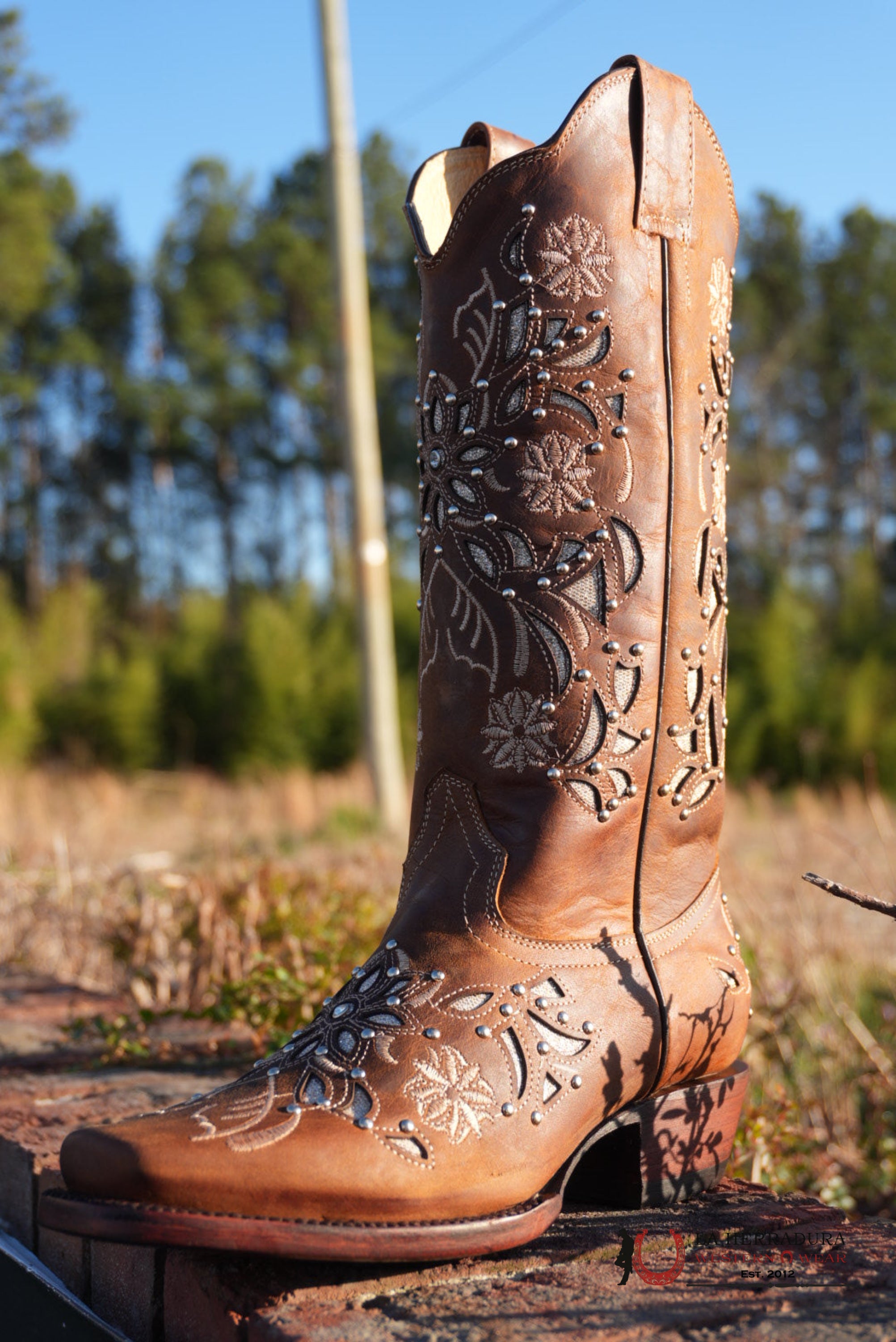 Gold Edition Ébano Honry Lazer Sol BOTAS MUJERES