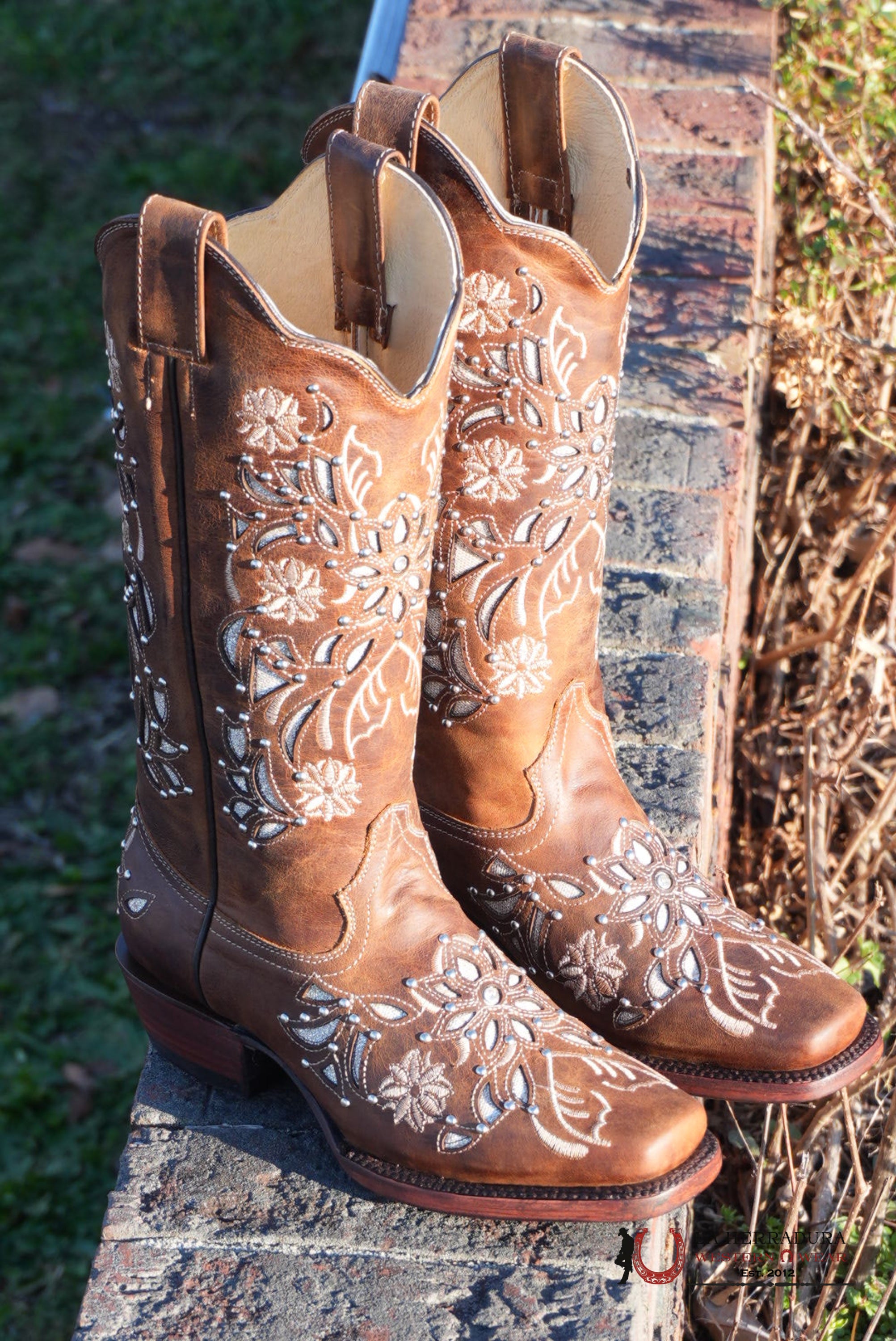 Gold Edition Ébano Honry Lazer Sol BOTAS MUJERES