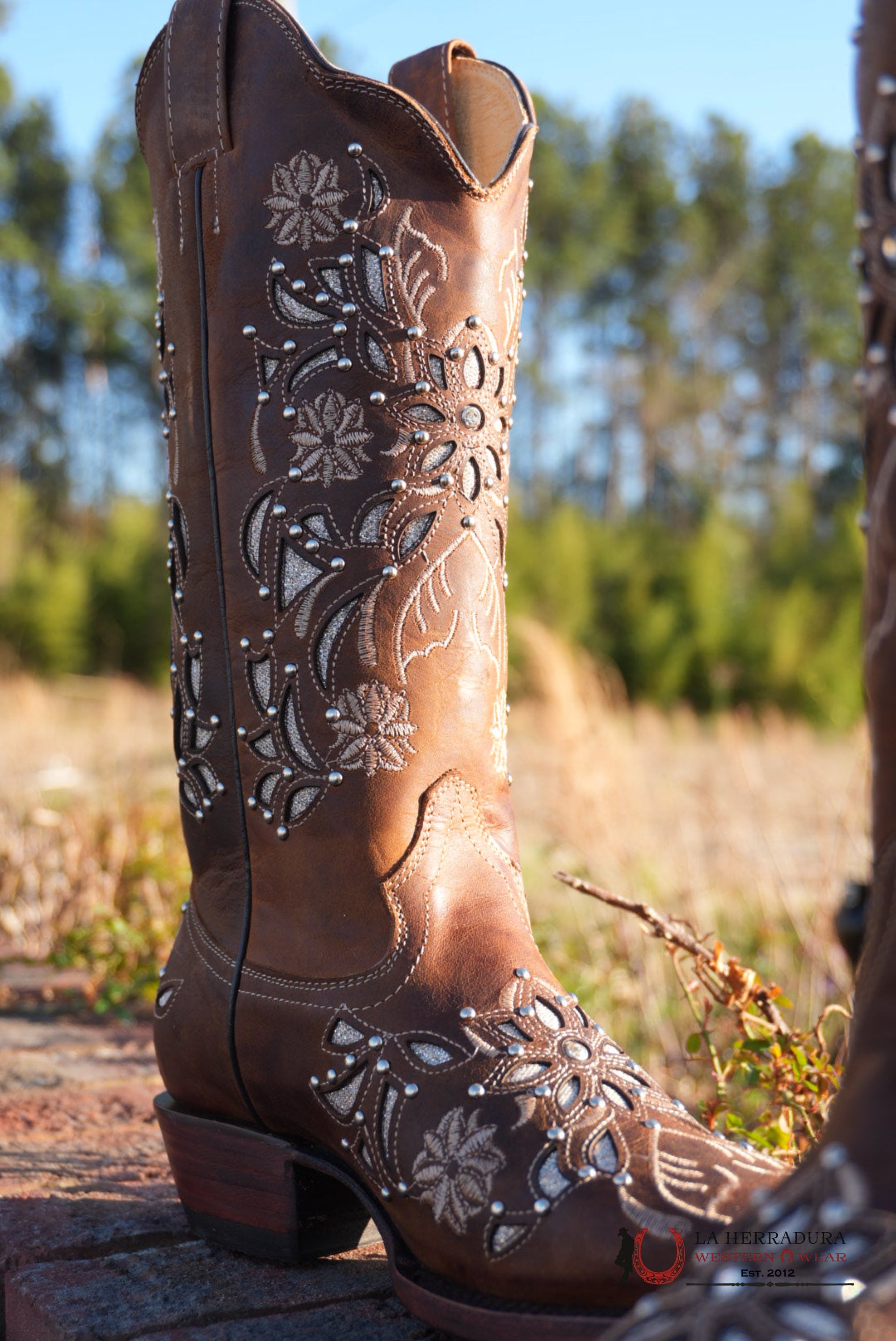 Gold Edition Ébano Honry Lazer Sol BOTAS MUJERES