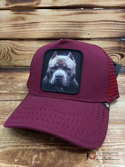 GOLD STAR TRUCKER HAT RED
