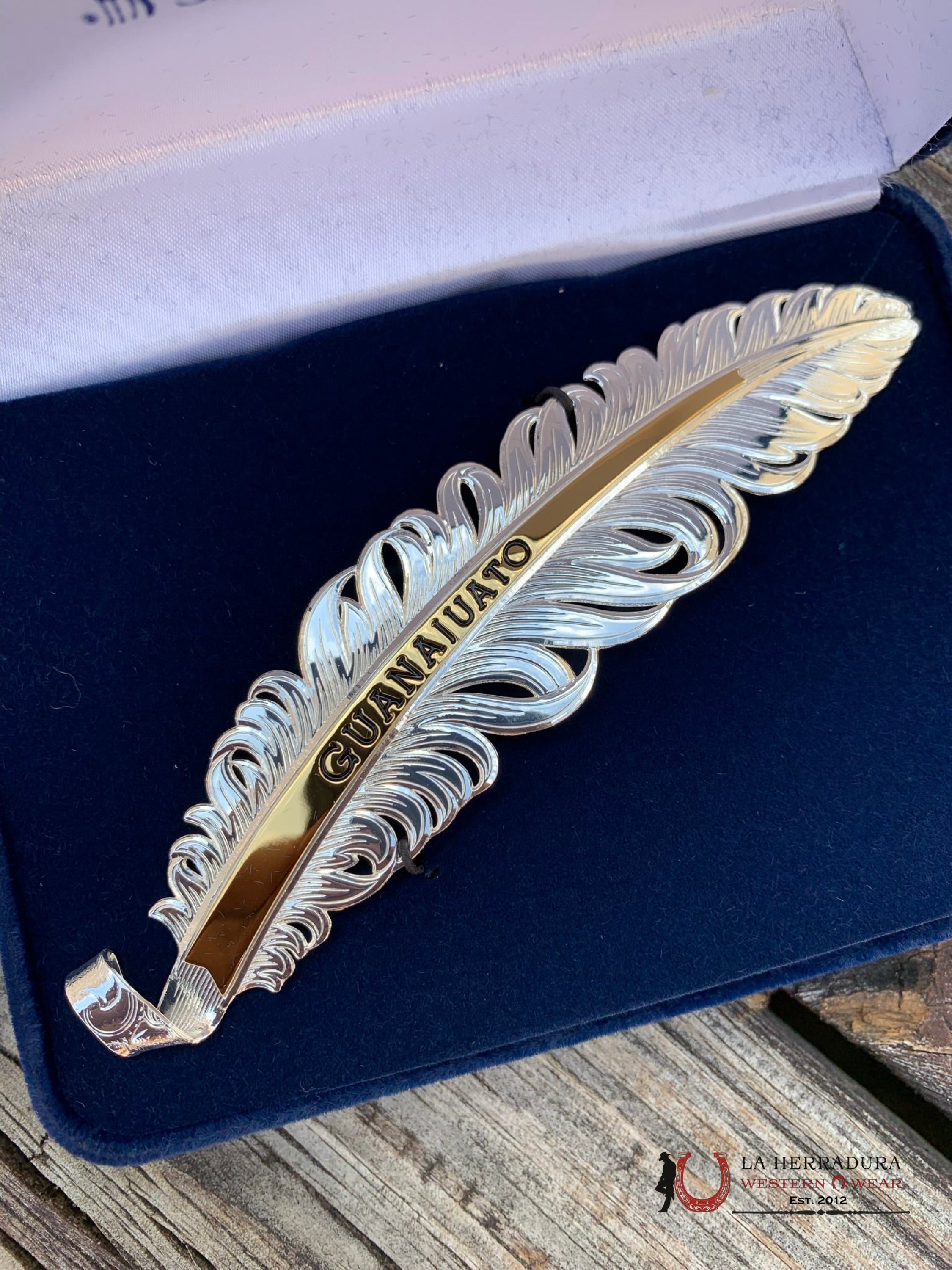 Montana Hat Feather Plata Guanajuato Accesorios