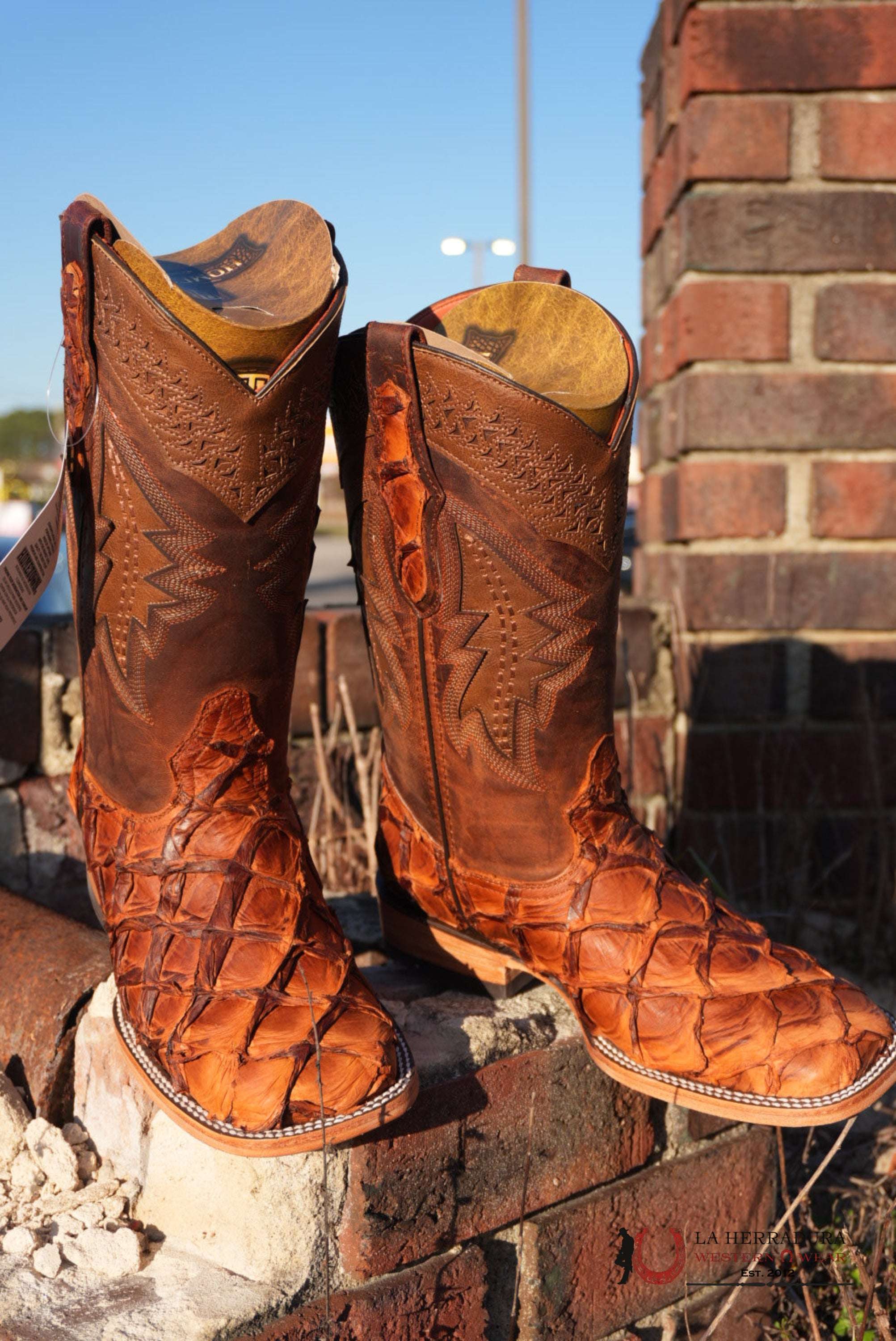 HOMETOWN EXOTIC FISH BOOTS PECAN SQ. TOE