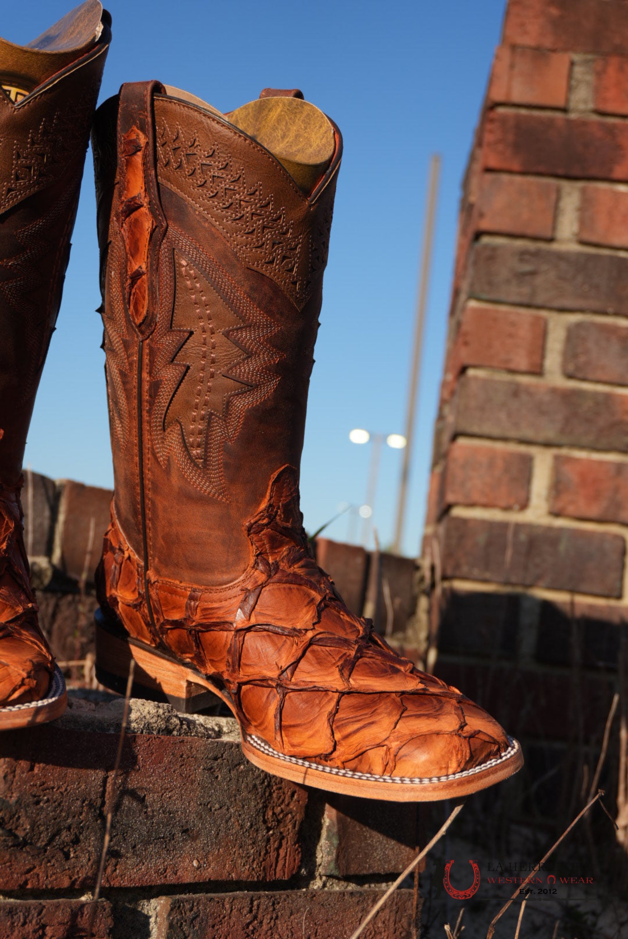 Hometown Pescado Pecan Square Toe Boots BOTAS HOMBRES