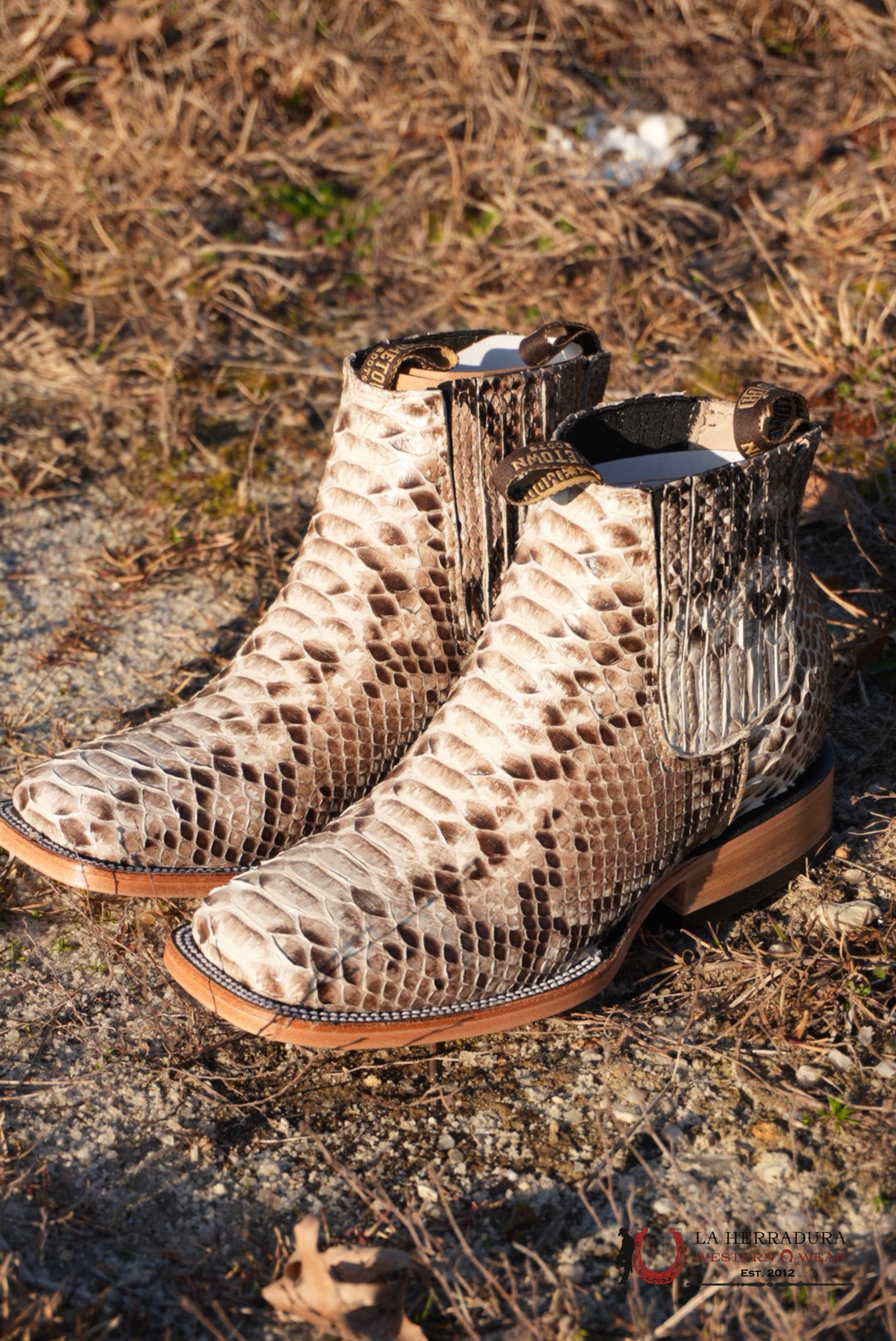 Hometown Python Natural Square Toe Botine BOTAS HOMBRES