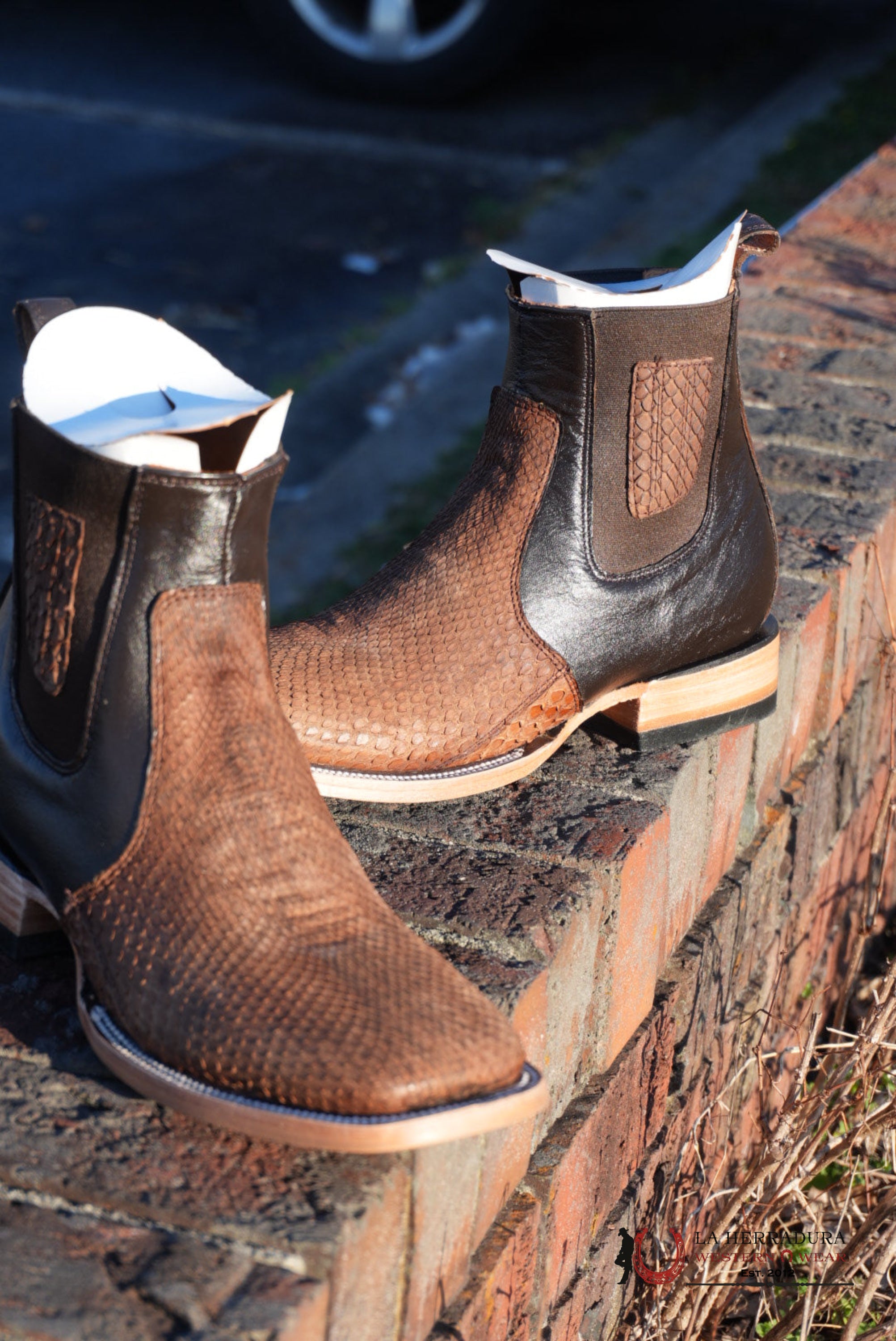 Hometown Python Belly Tamarindo Square Toe Botine BOTAS HOMBRES