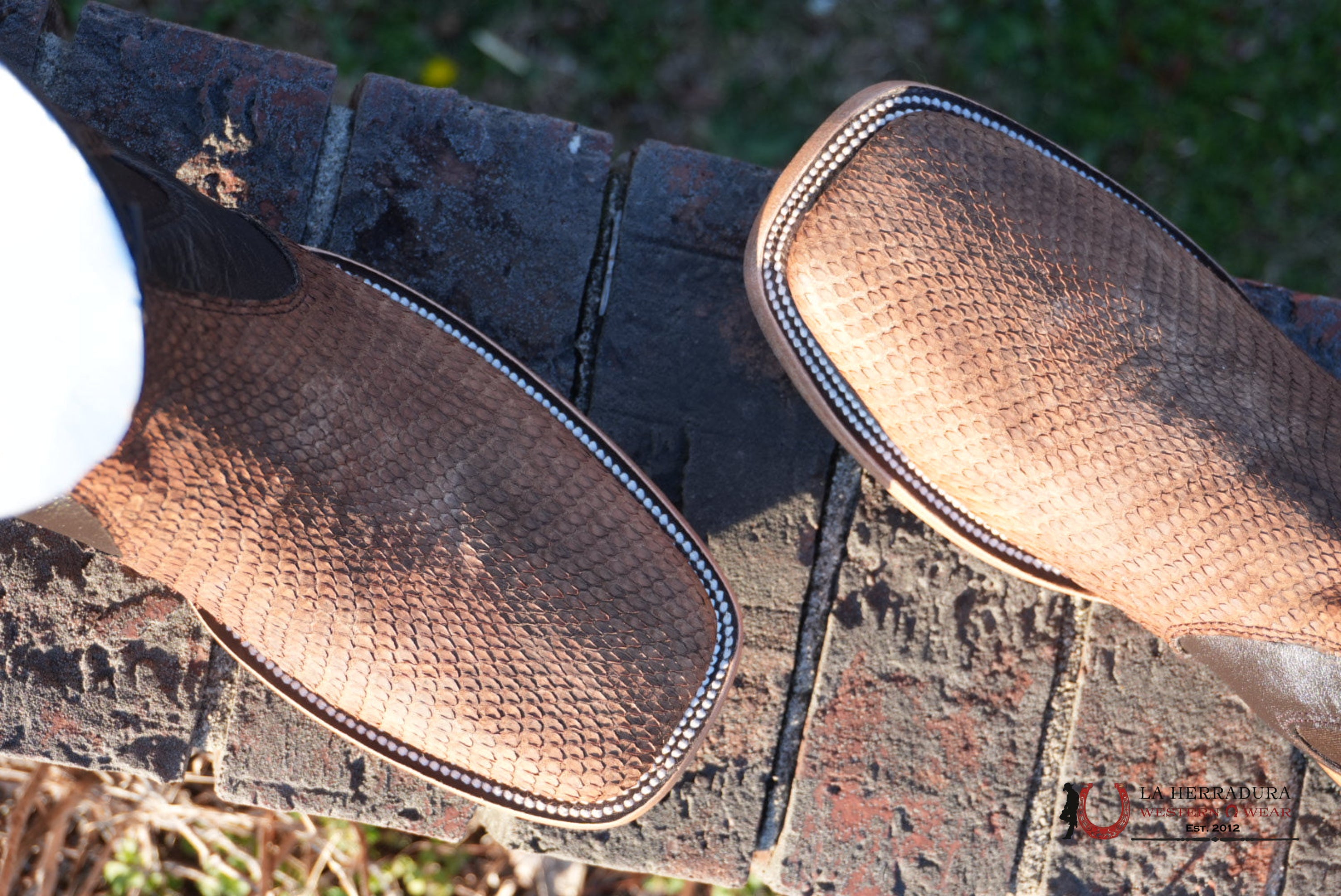 Hometown Python Belly Tamarindo Square Toe Botine BOTAS HOMBRES