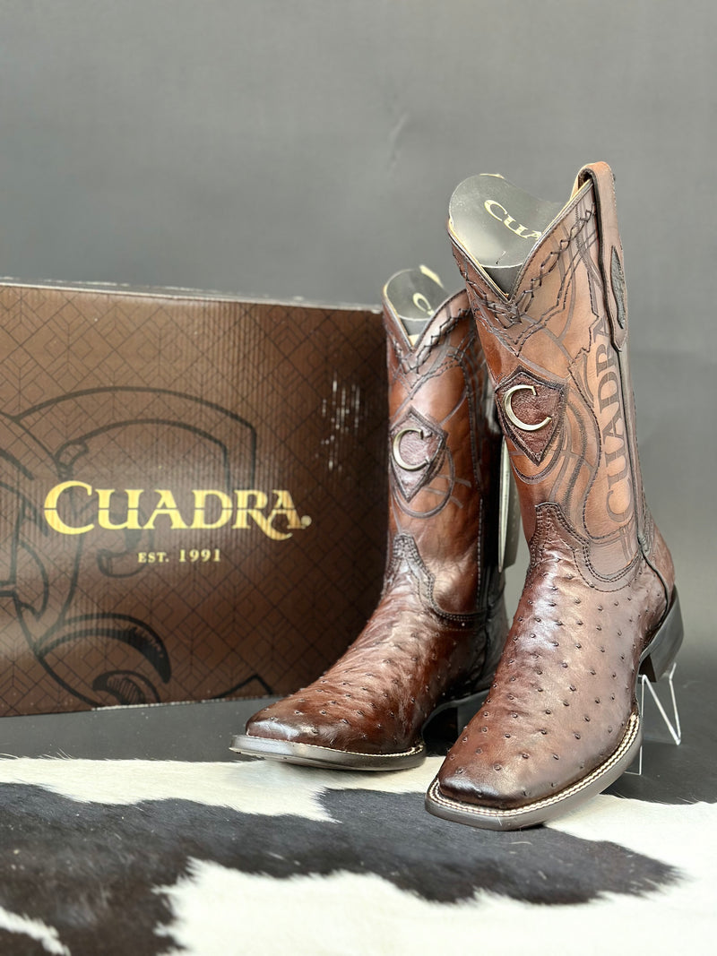 Zapatos cuadra de avestruz hot sale