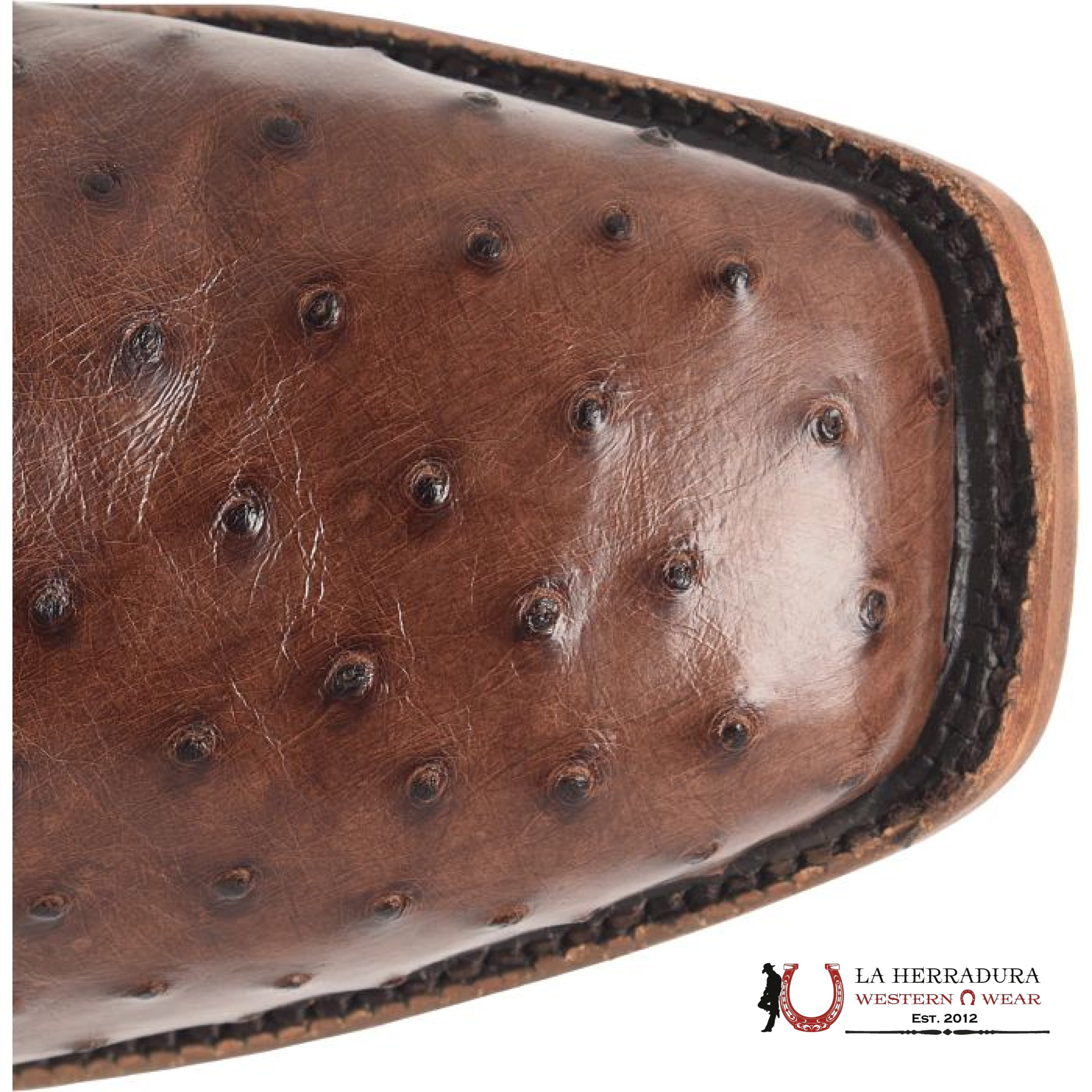 JUSTIN RANCHER JANGO TOBAC FULL WUILL OSTRICH #GR5334 BOTAS HOMBRES