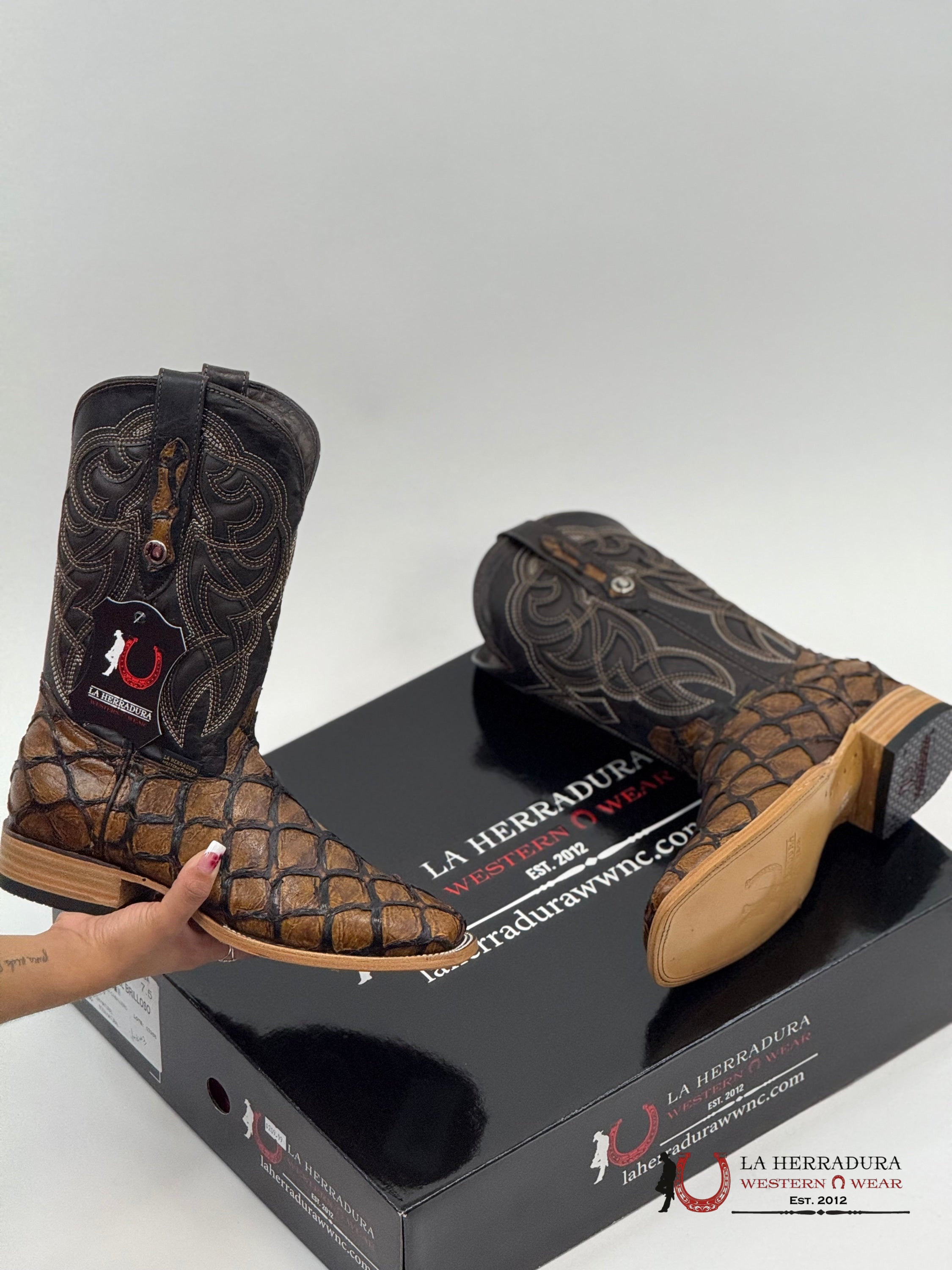 LA HERRADURA EST. PEZ CLON MIEL BRILLOSO BOTAS HOMBRES