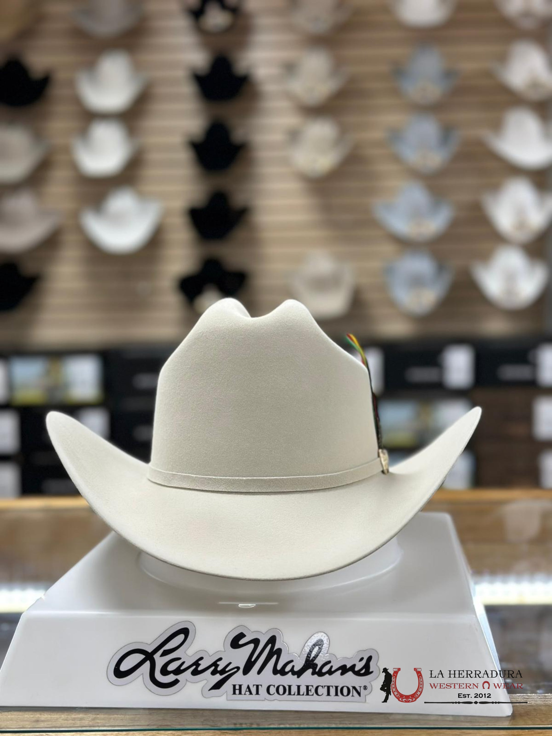 Larry Mahan´s 10X Jerarca Silver Belly Tejana