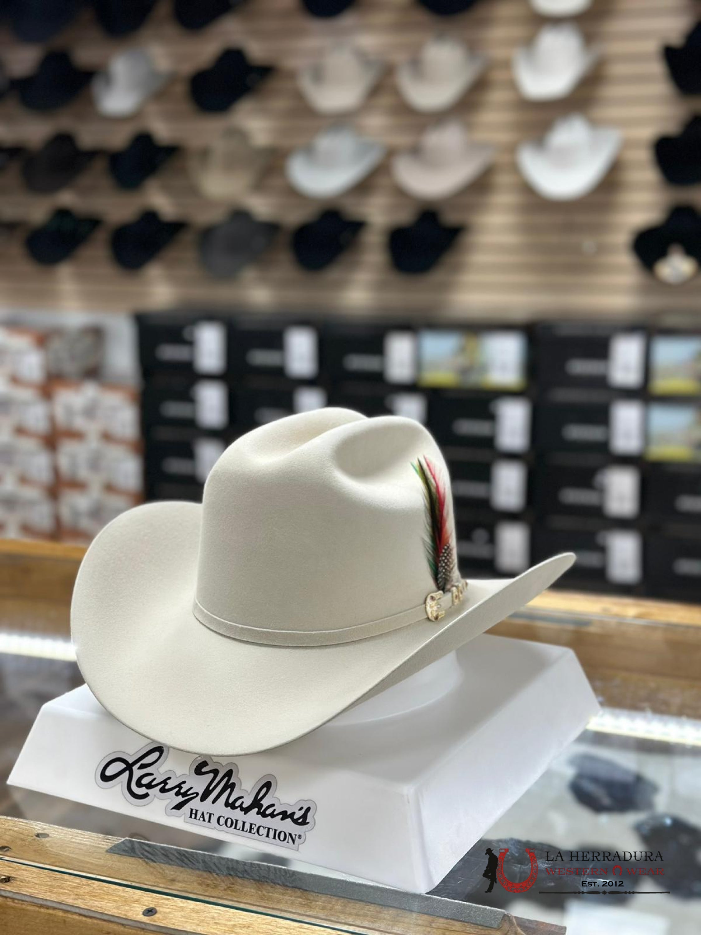 Larry Mahan´s 10X Jerarca Silver Belly Tejana