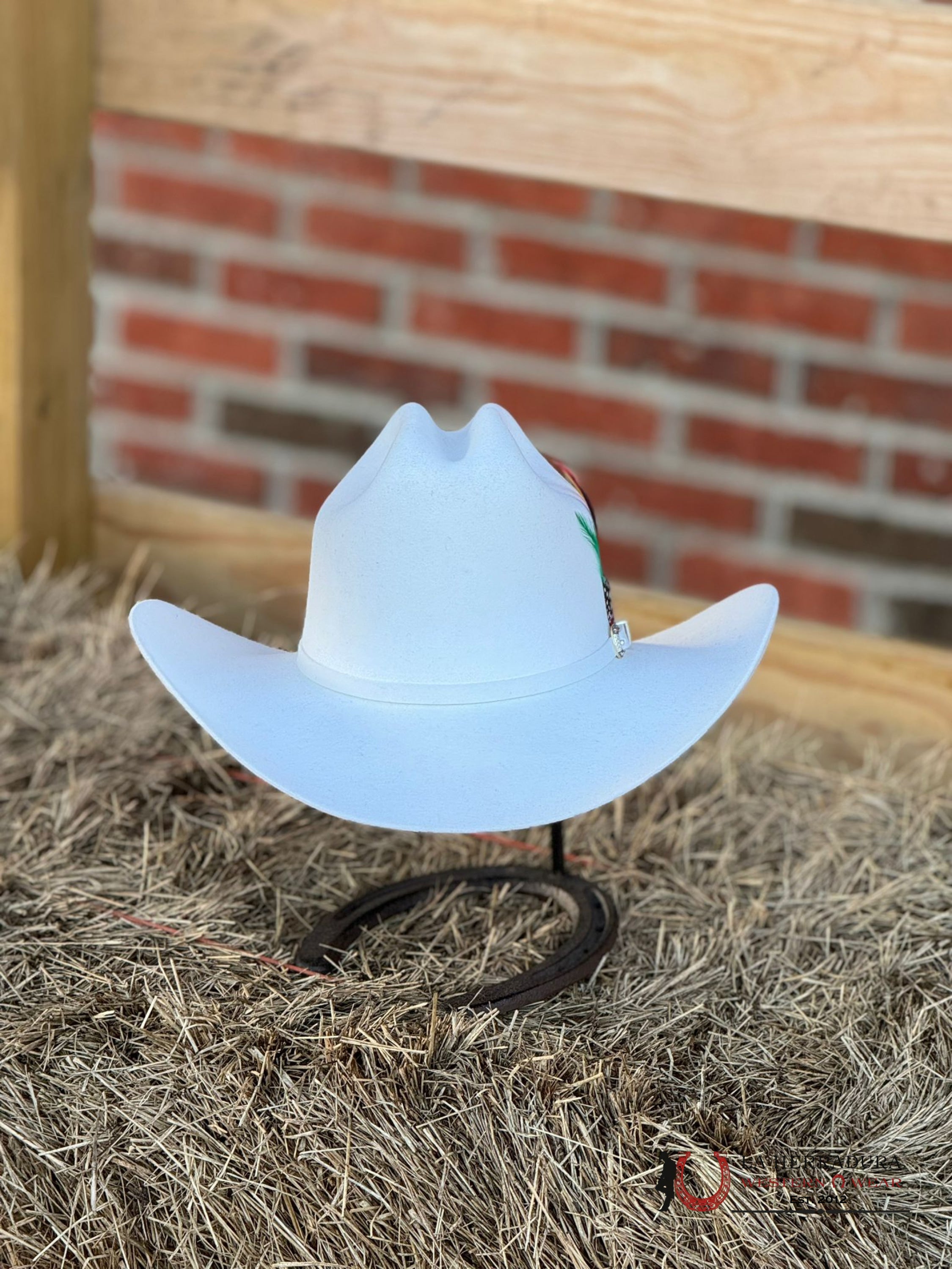 Larry Mahan´s 10X White Tejana