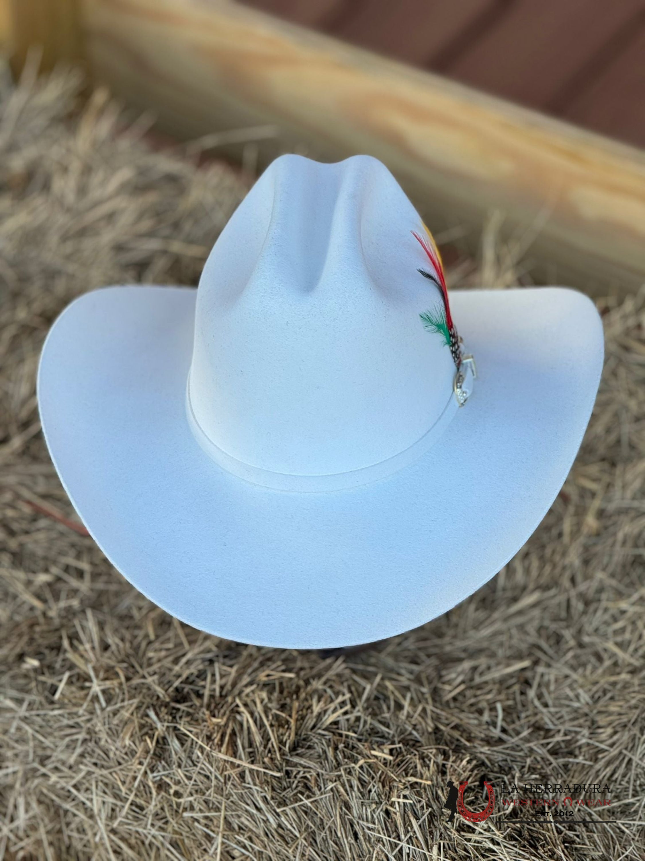 Larry Mahan´s 10X White Tejana