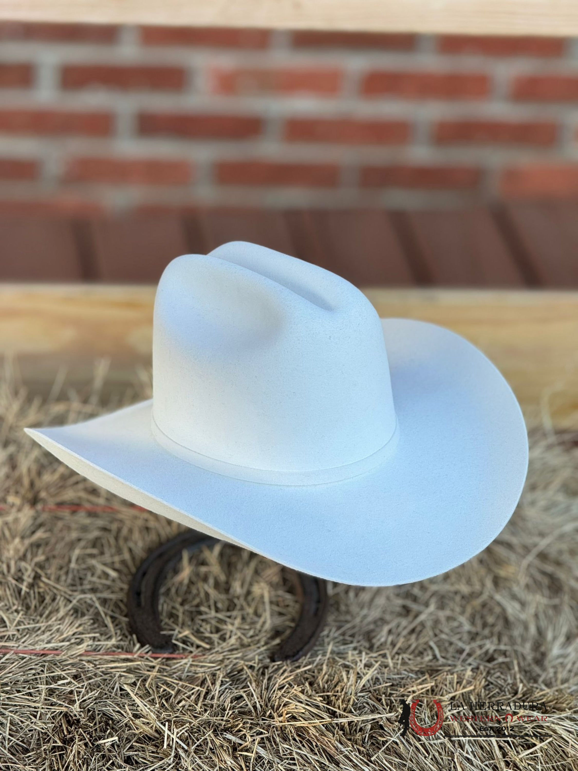 Larry Mahan´s 10X White Tejana