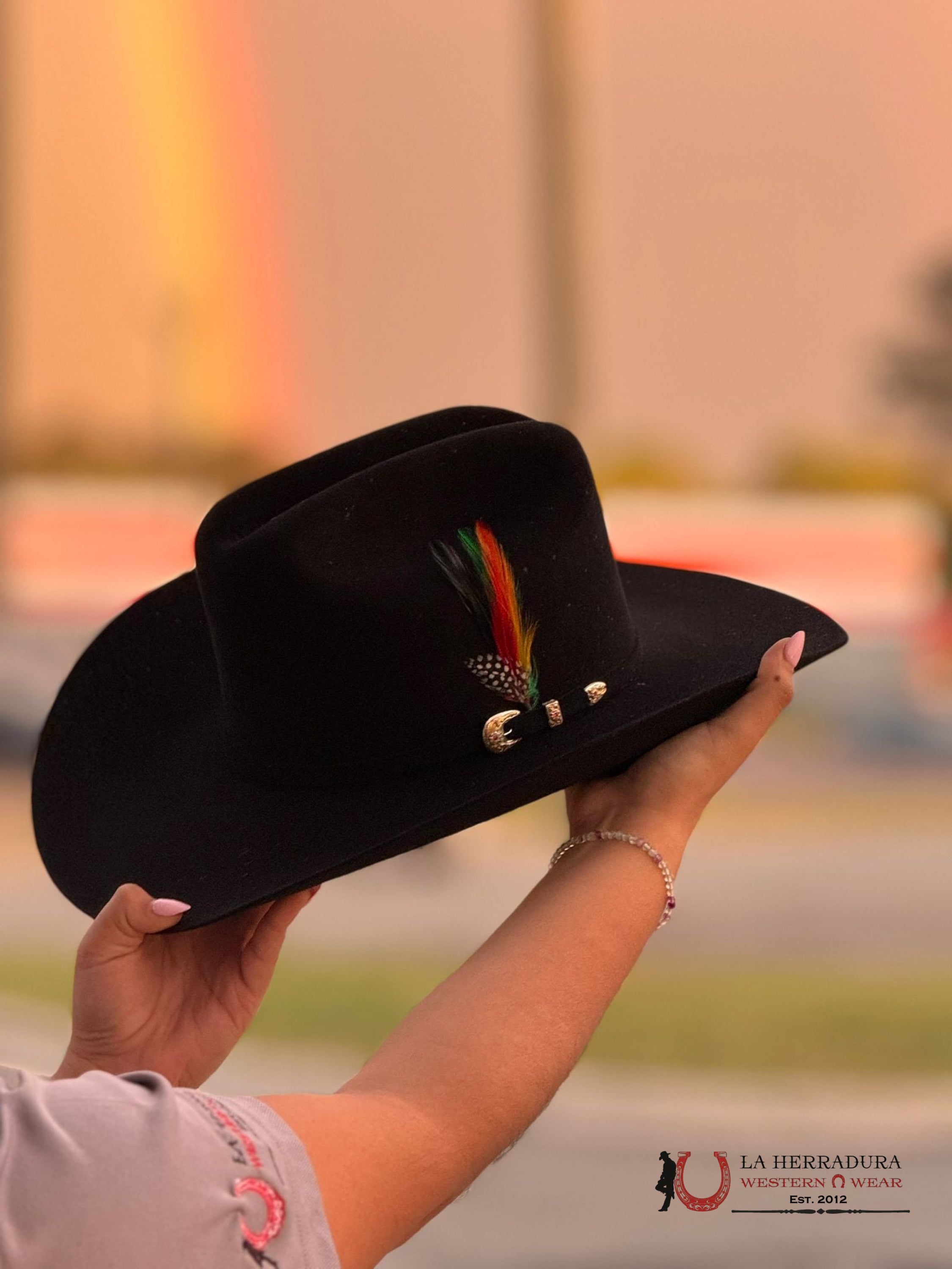 Larry Mahan´s 6X Real Black Coyboy Hats Tejana