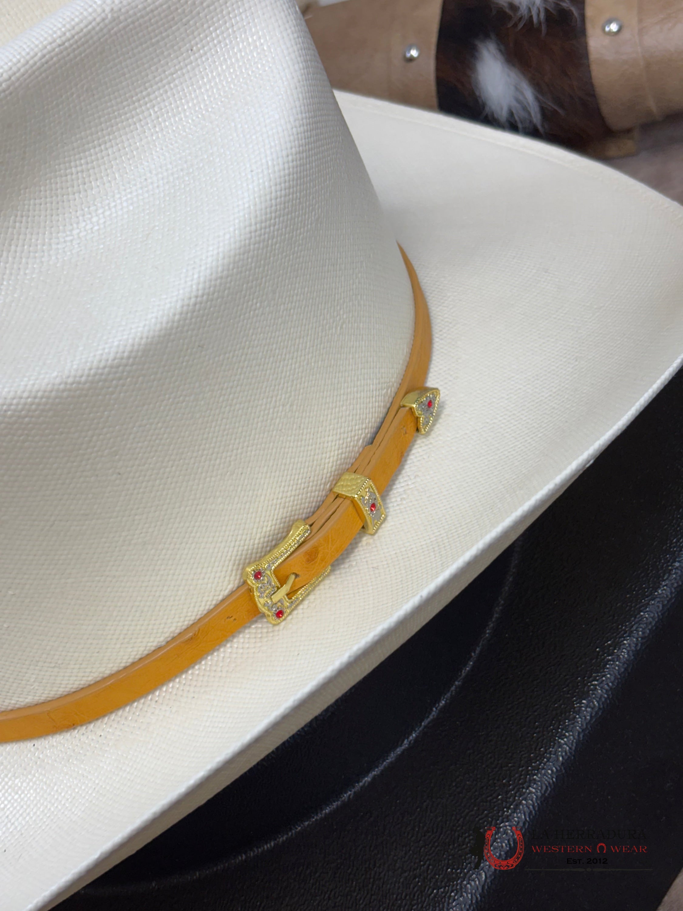 Larry Mahan’s Straw Hats Corona Sinaloa Style 30X TEJANA