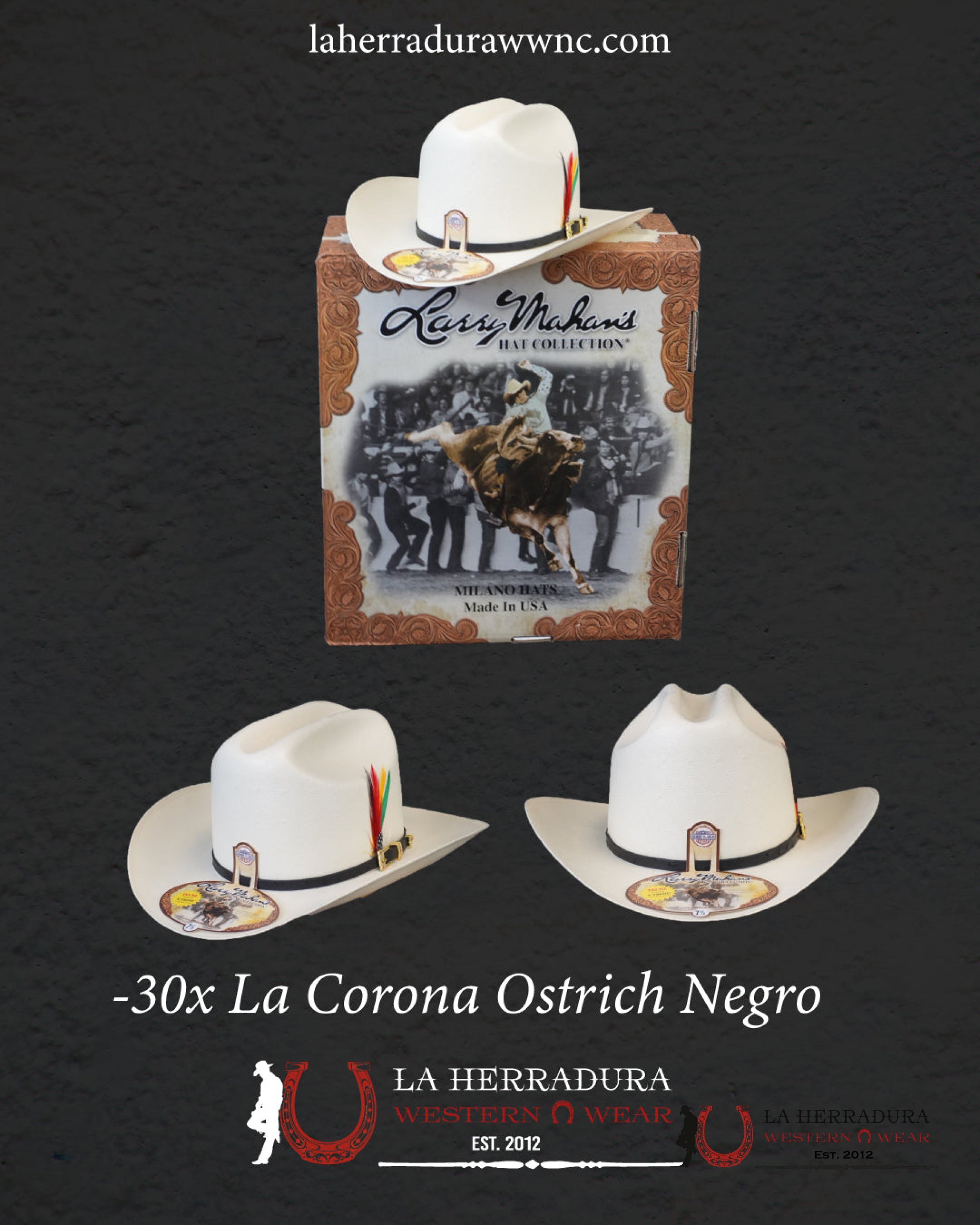 Larry Mahan’s Straw Hats Corona Black / Sinaloa Style 30X Copa alta TEJANA