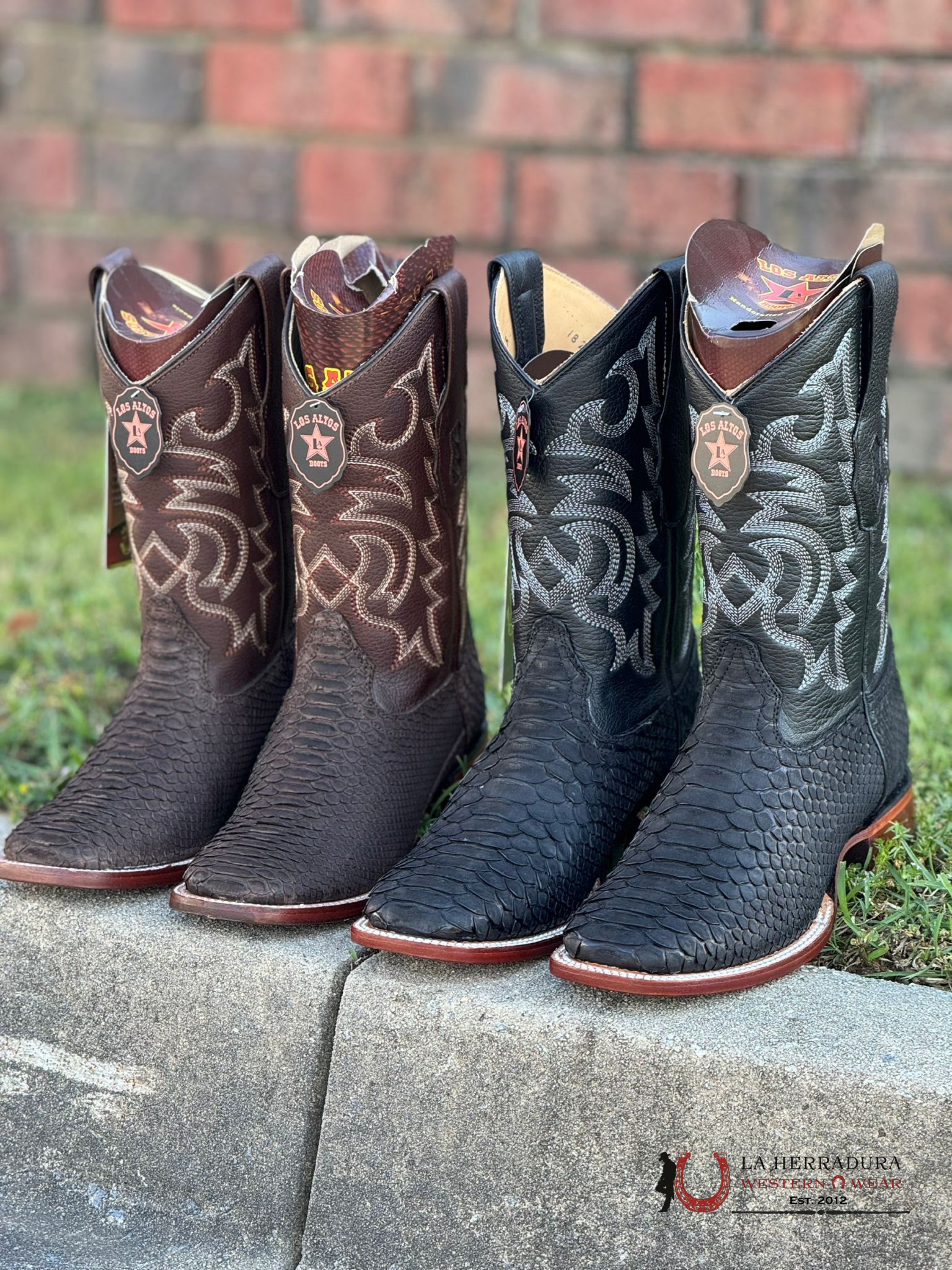 Los Altos Mens Boots Square Toe Python Black Botas Hombres