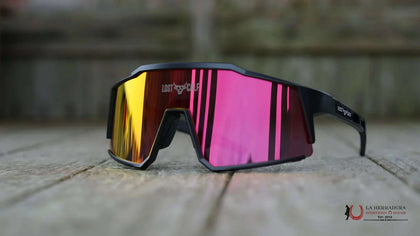 LOST CALF BLACK/RED SUNGLASSES RAPTOR