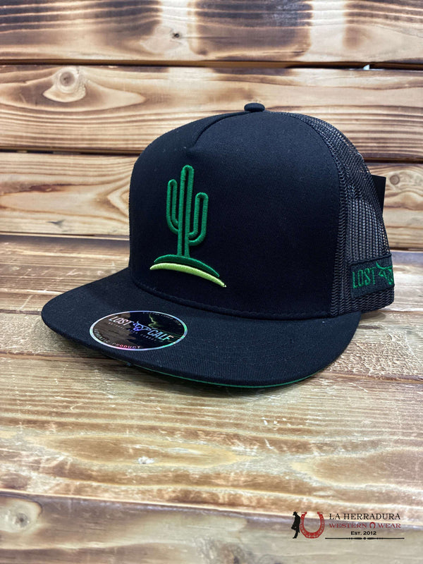 SE HA PERDIDO UN SOMBRERO NEGRO Y VERDE CON CACTUS Y UN TERNERO