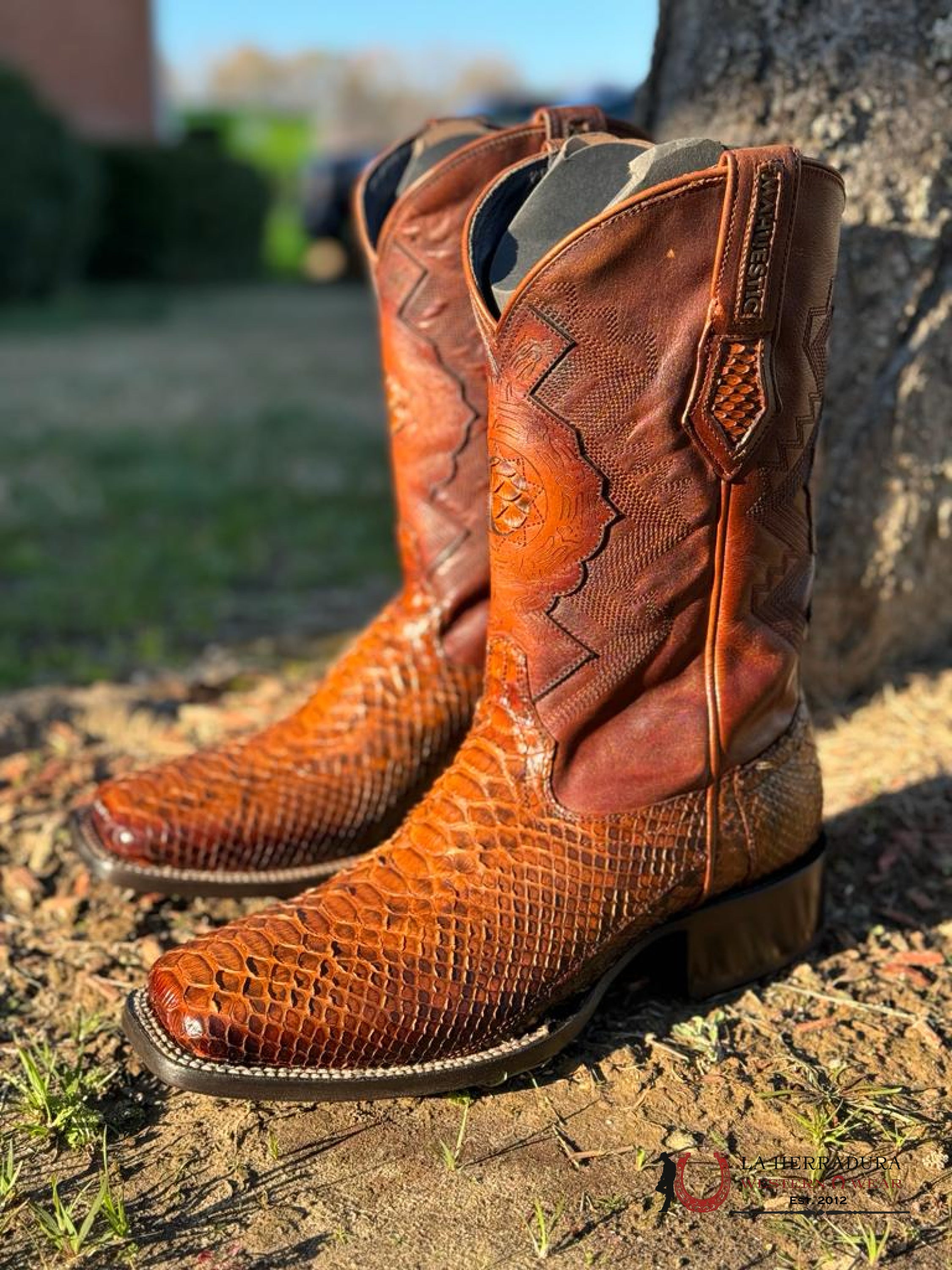 Mahuestic Python Coñac Square Toe Wa0612 Botas Hombres