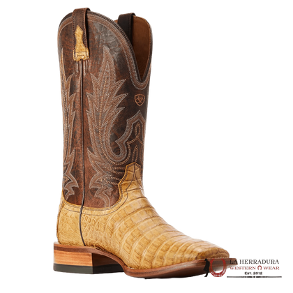 CABALLERO ARIAT GUNSLINGER PANAL CAIMÁN OSCURO DE COLOR CAFÉ DEL VIENTRE-10042476