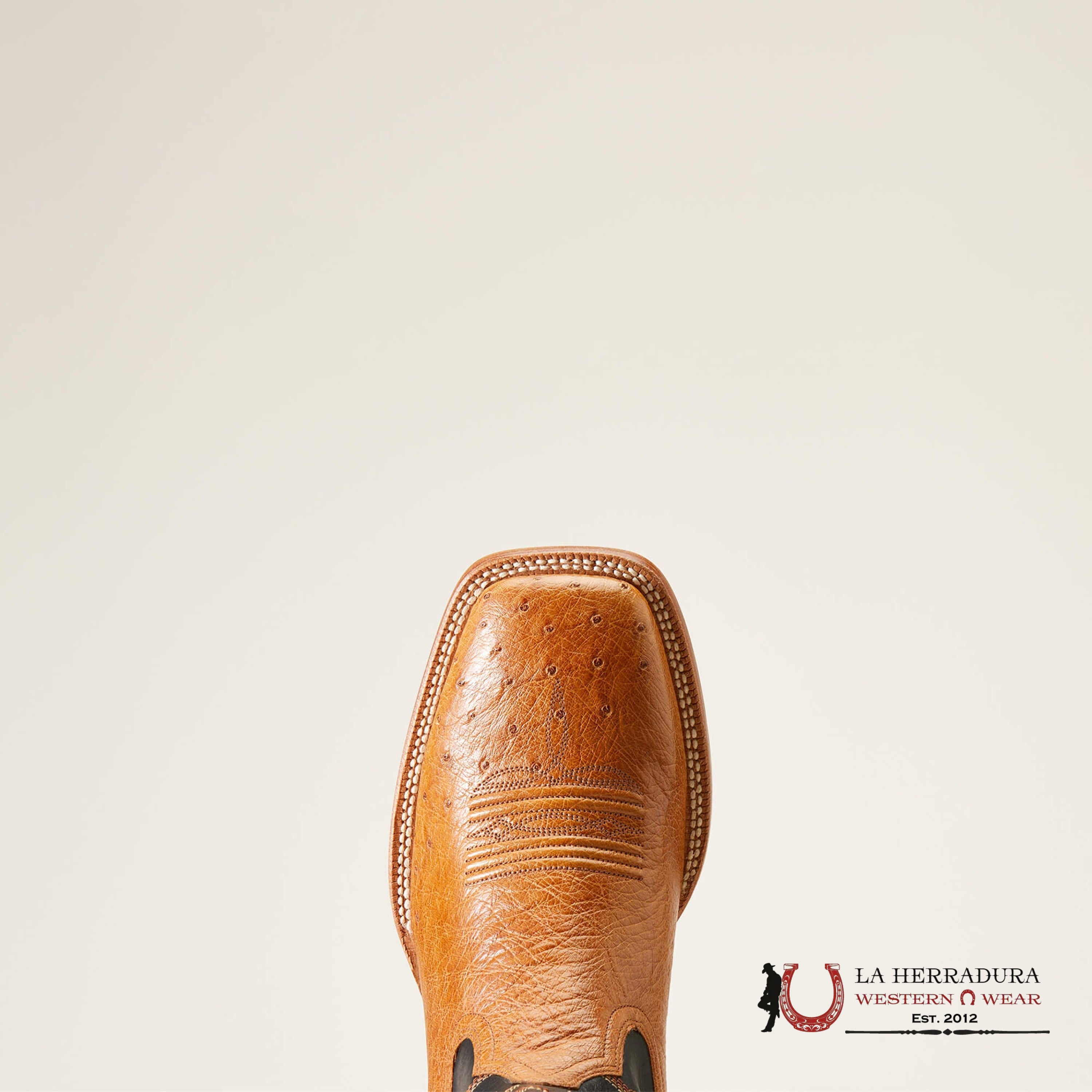 Mens Ariat Haywire Antique Tan Smooth Quill Ostrich/Midnight Black Botas Hombres