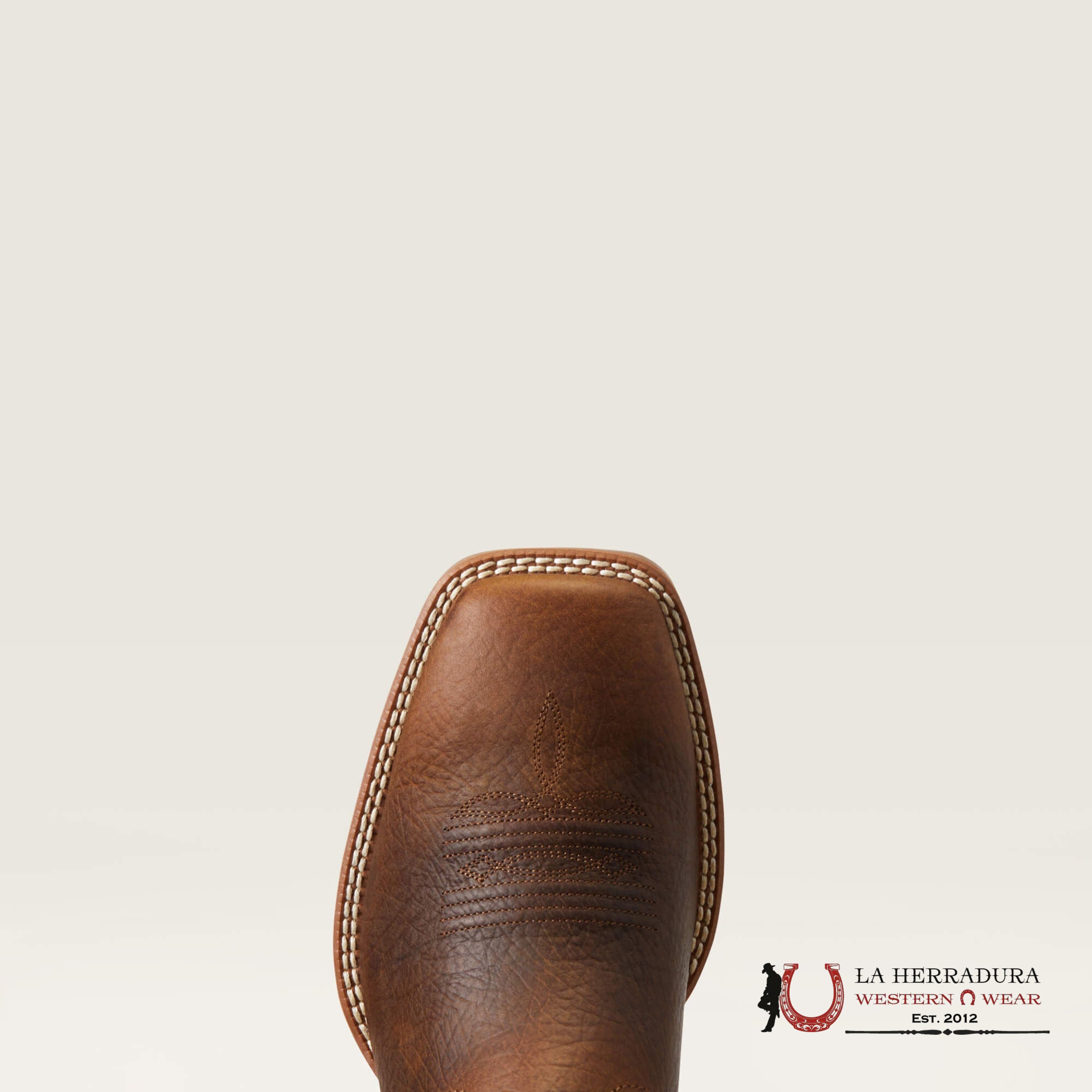 Mens Ariat Rowder Ventek Earth/Mack Brown Botas Hombres