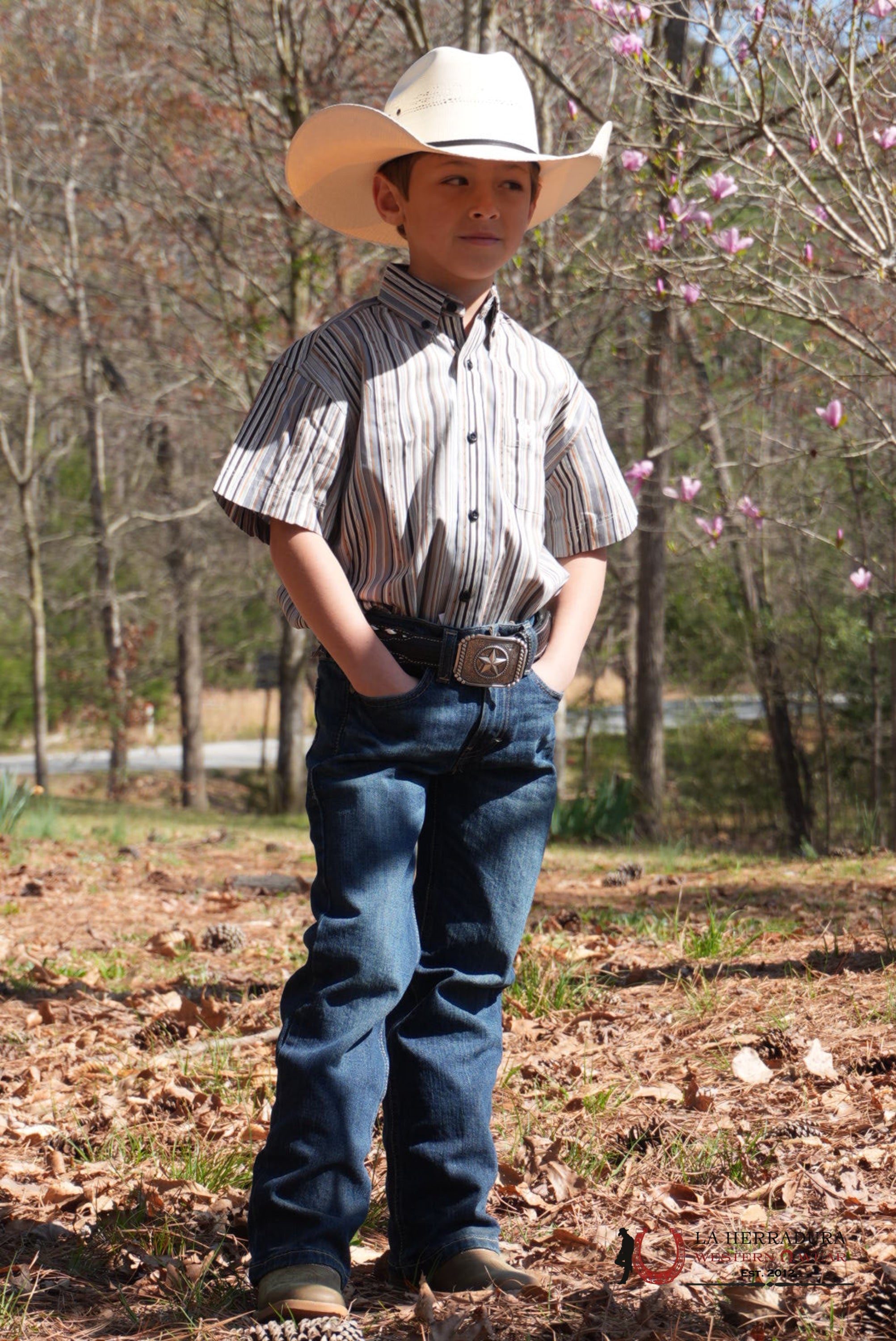 PANDHANDLE BOYS GREY STRIPE SHORT SLEEVE SHIRT NIÑOS