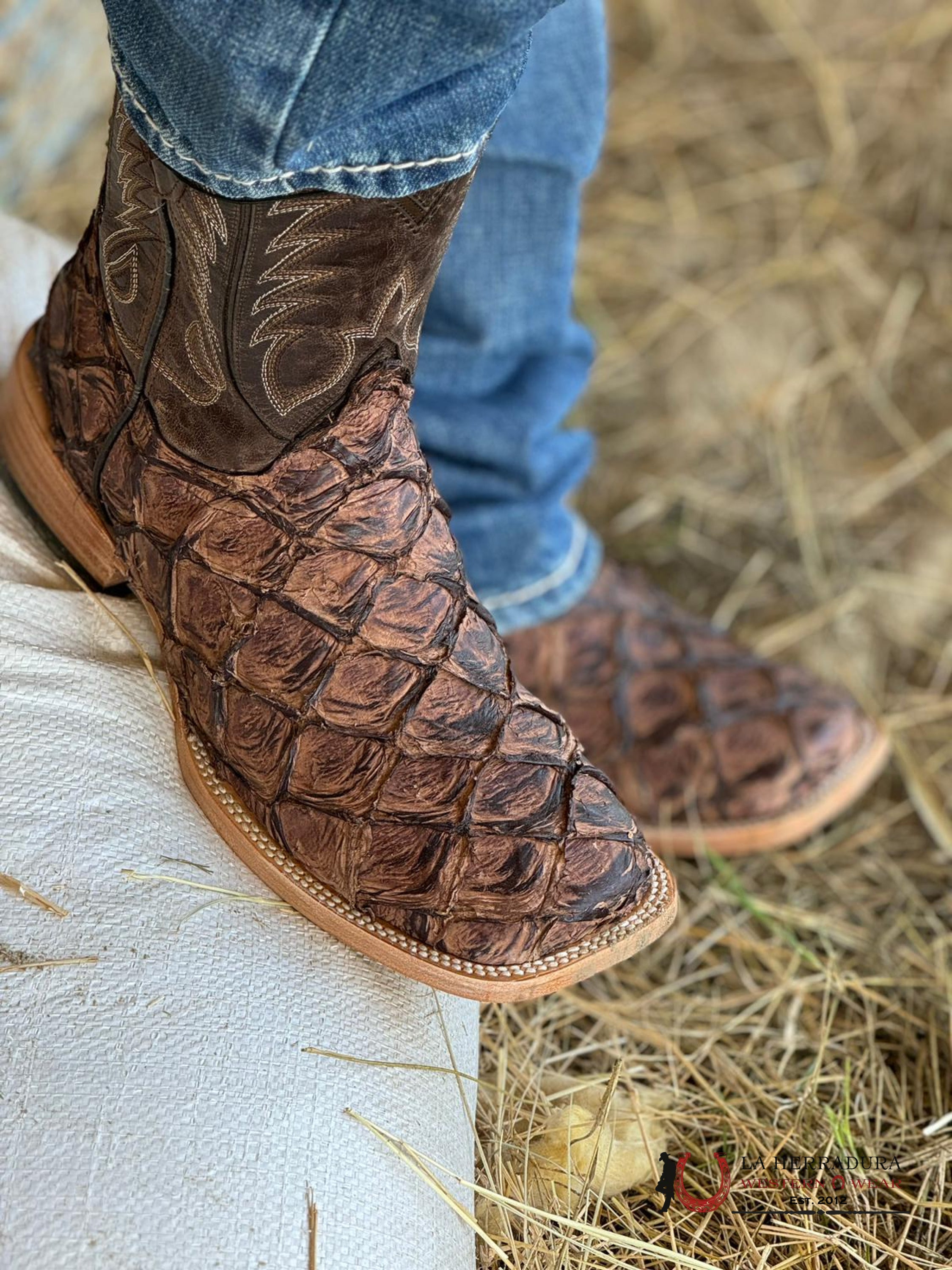 Ranchers Bigbass Charuto Md Brown Laramie Botas Hombres