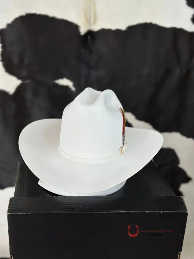 Rdr 10X Patron Cowboy Hat White Tall Crown Tejana