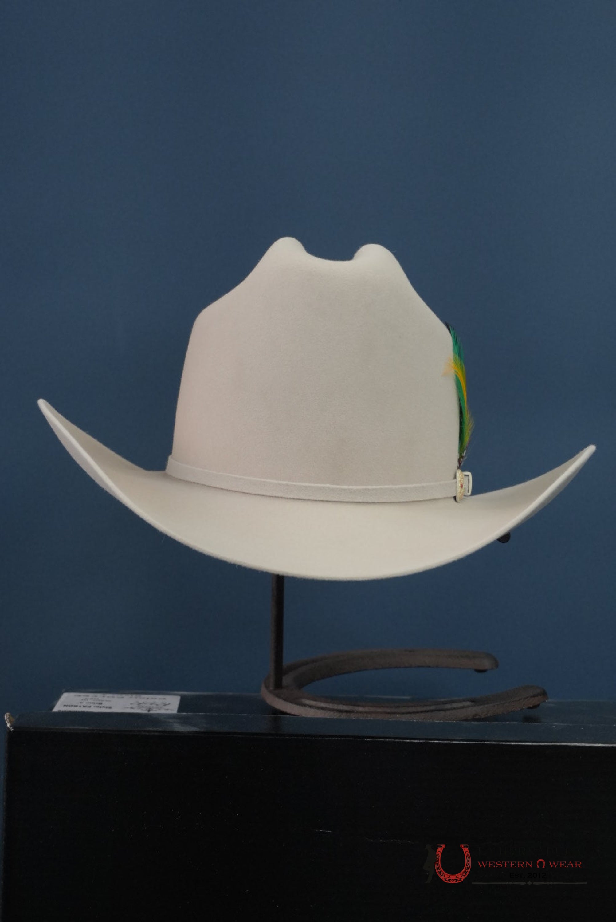 RDR 10X SILVER BELLY EL PATRON COWBOY HAT TALL CROWN TEJANA