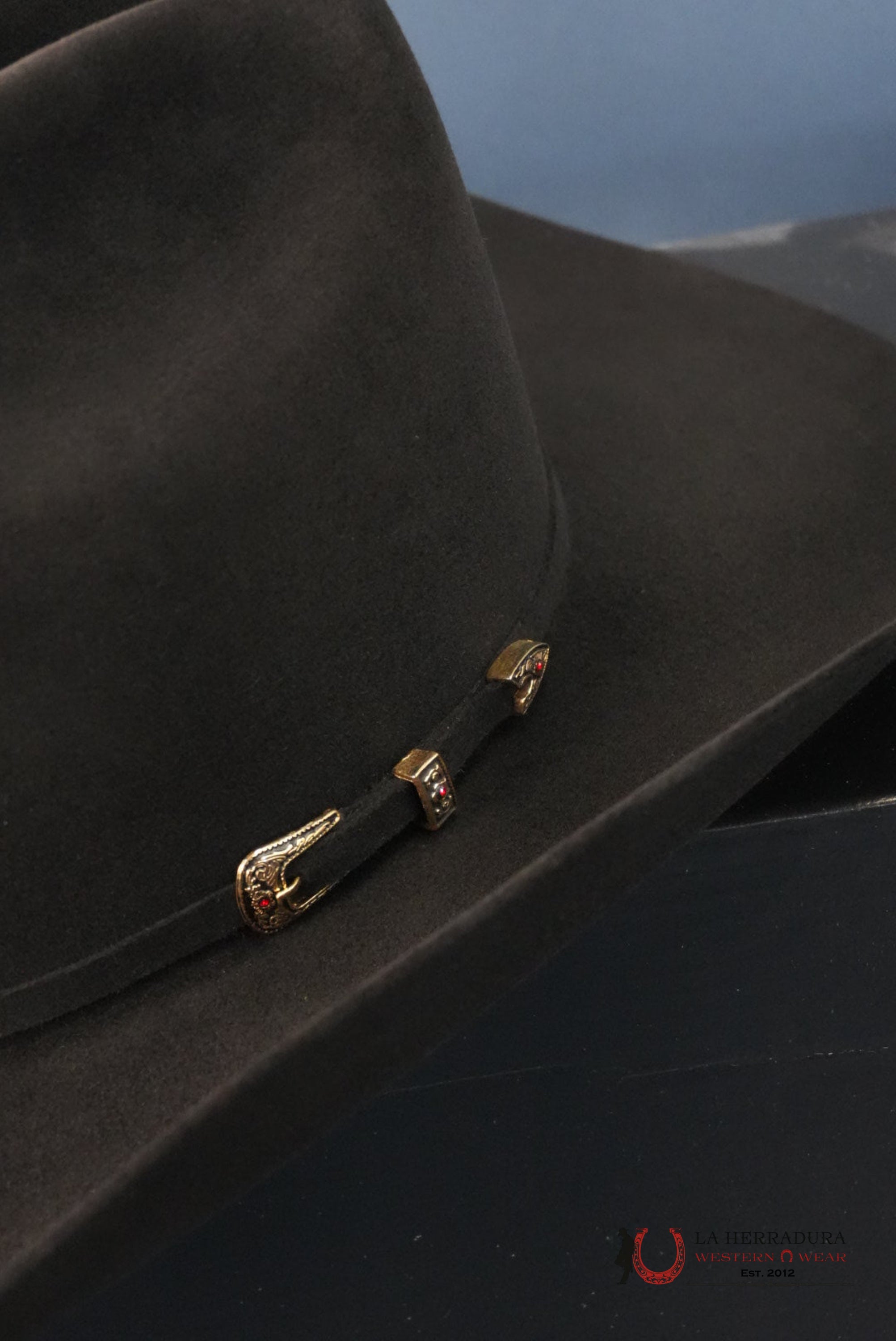 RDR 30X PATRON COPA ALTA COWBOY HAT NEGRO TEJANA