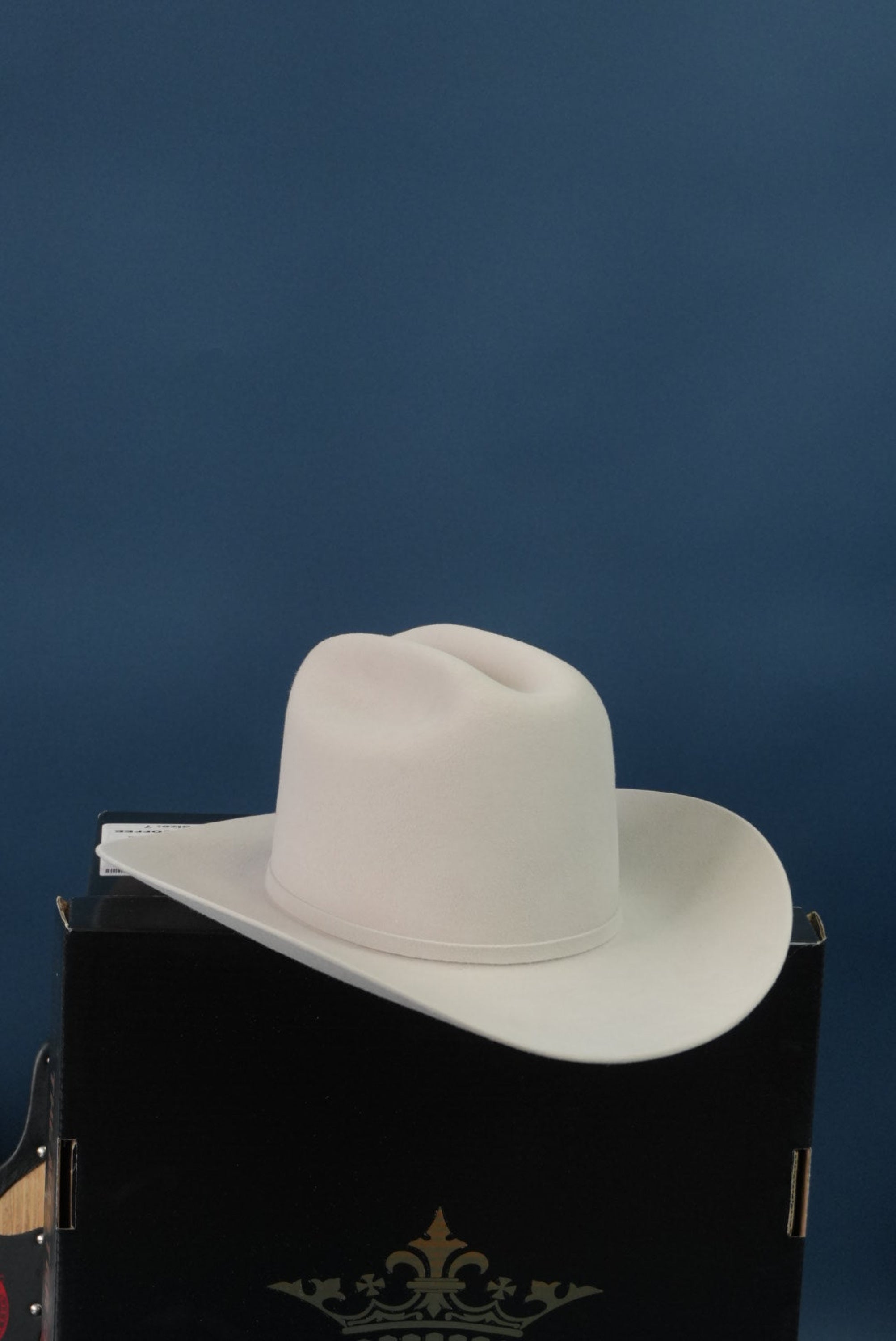 RDR 6X SILVERBELLY COPA ALTA VIRGEN DE GUADALUPE FELT HAT GUADALUPANA TEJANA