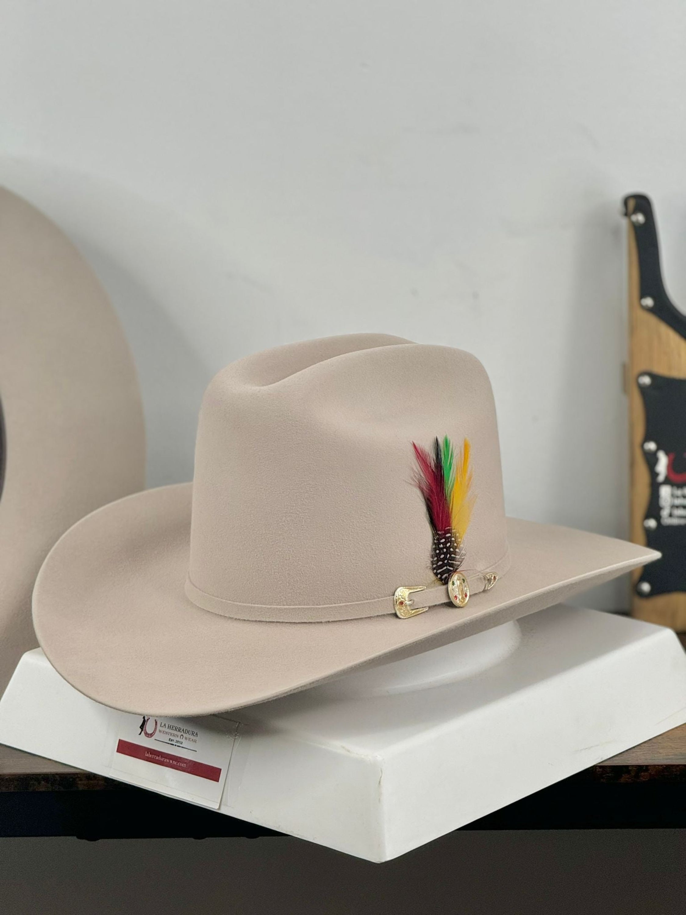 Rdr 6X Silverbelly Copa Alta Virgen De Guadalupe Felt Hat Guadalupana Tejana