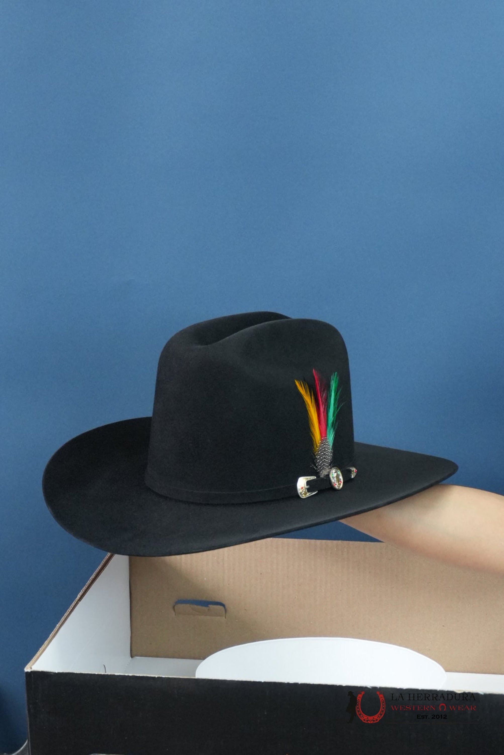 RDR 6X BLACK COPA ALTA VIRGEN DE GUADALUPE FELT HAT GUADALUPANA TEJANA