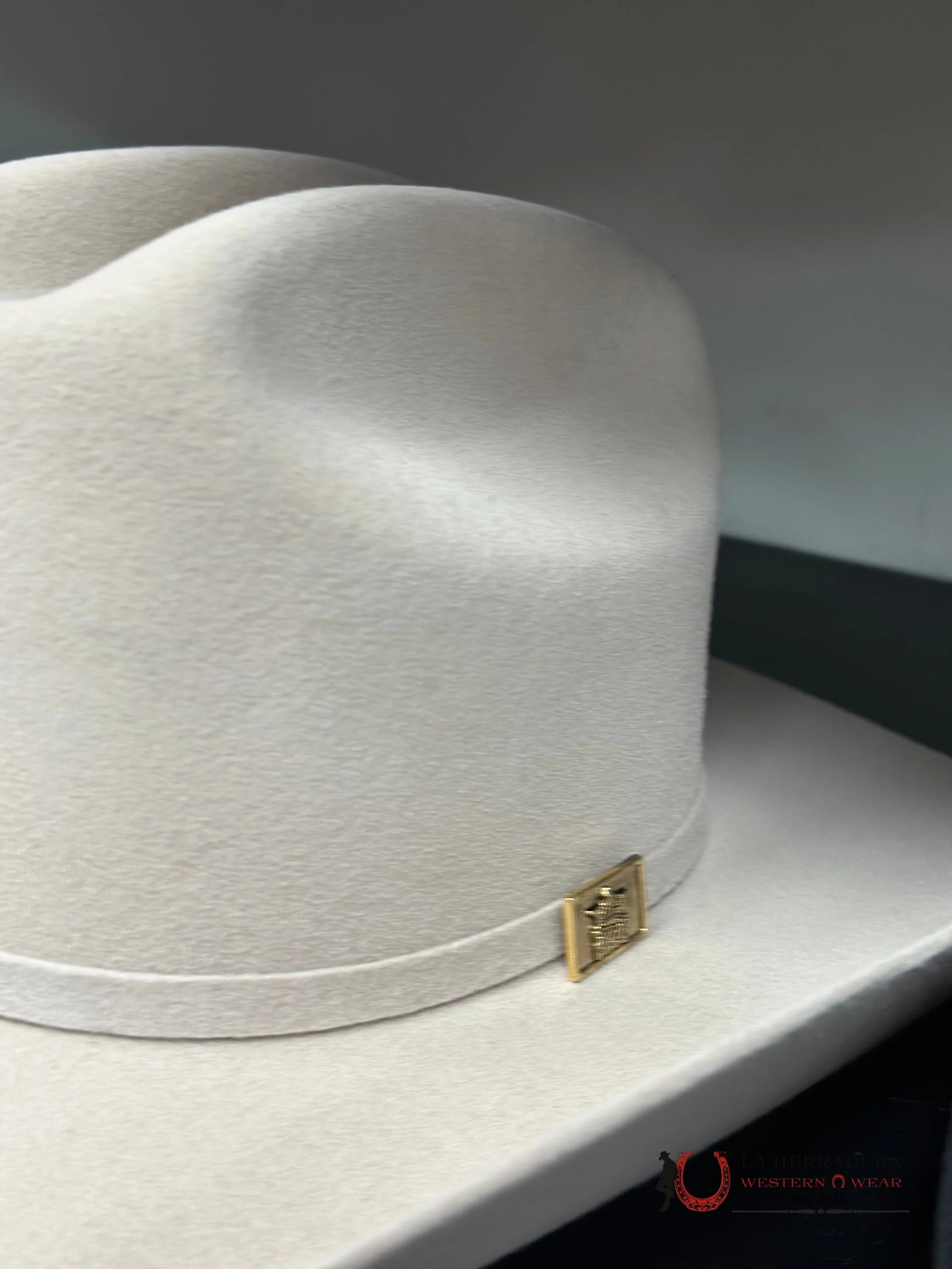 Rdr Kids Silverbelly Felt Hat Niños