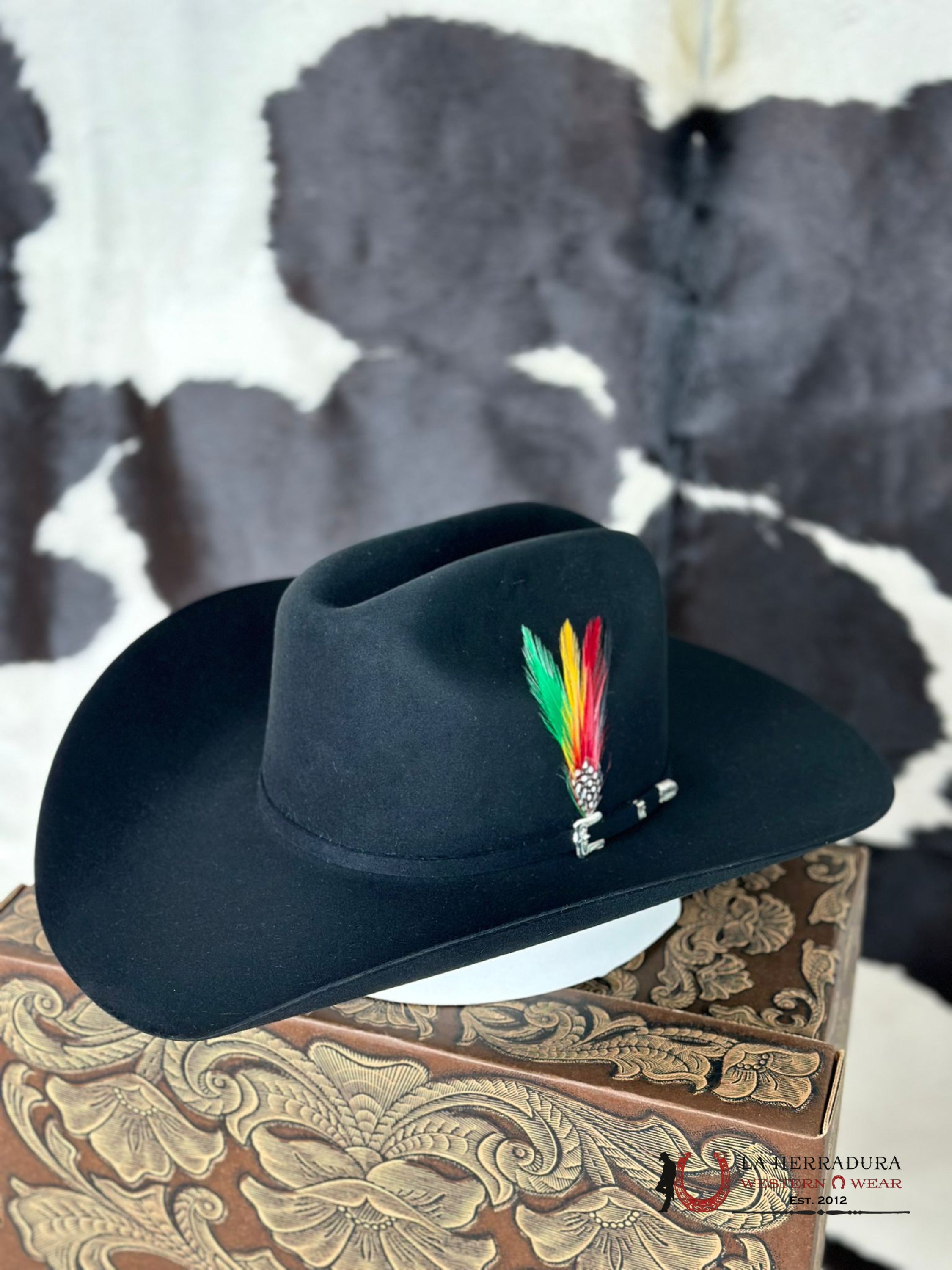 Resistol Black Gold 20X Tejana