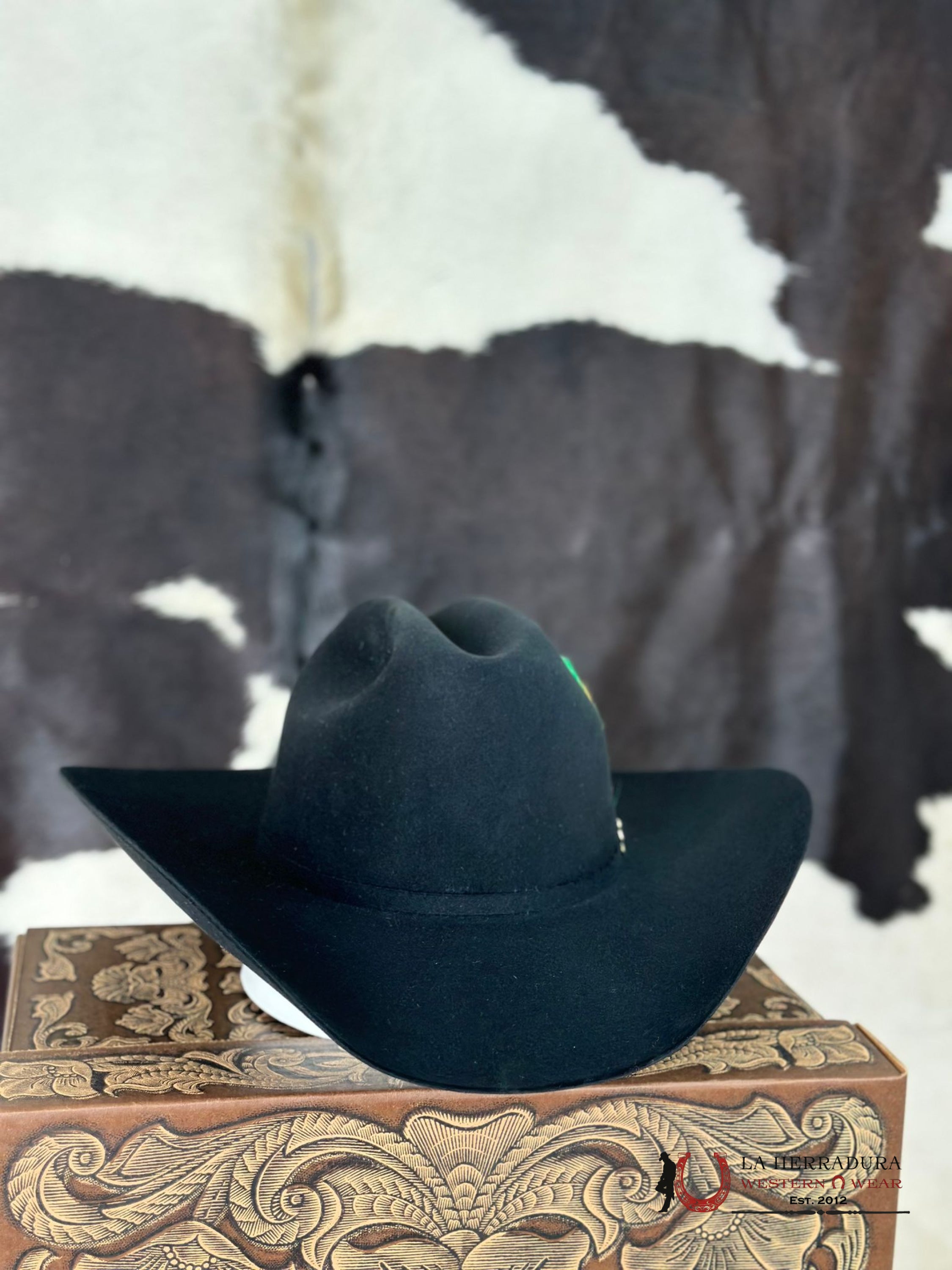 Resistol Black Gold 20X Tejana