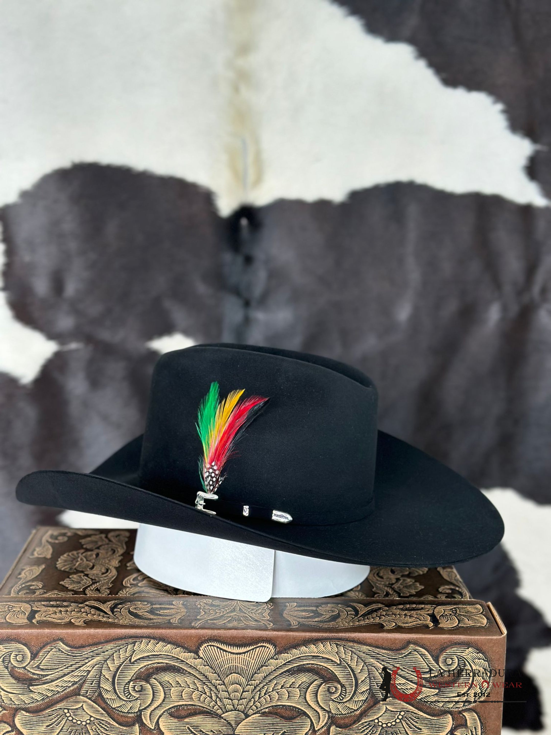 Resistol Black Gold 20X Tejana