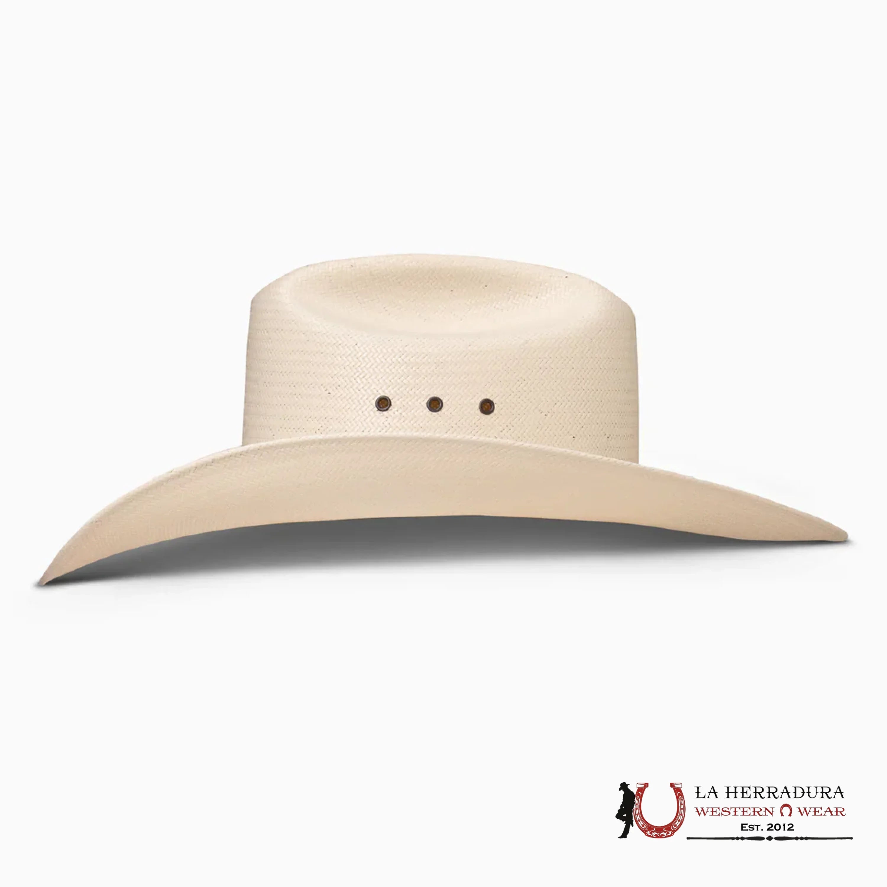 RESISTOL NATURAL LAMBERT 81 10x TEJANA