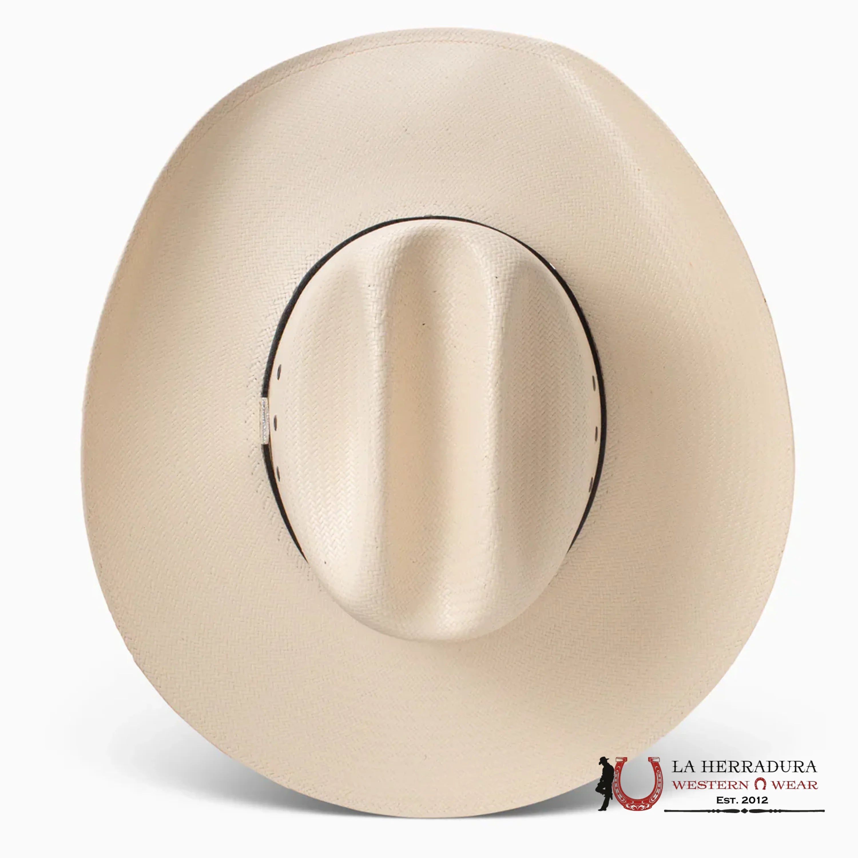 RESISTOL NATURAL LAMBERT 81 10x TEJANA