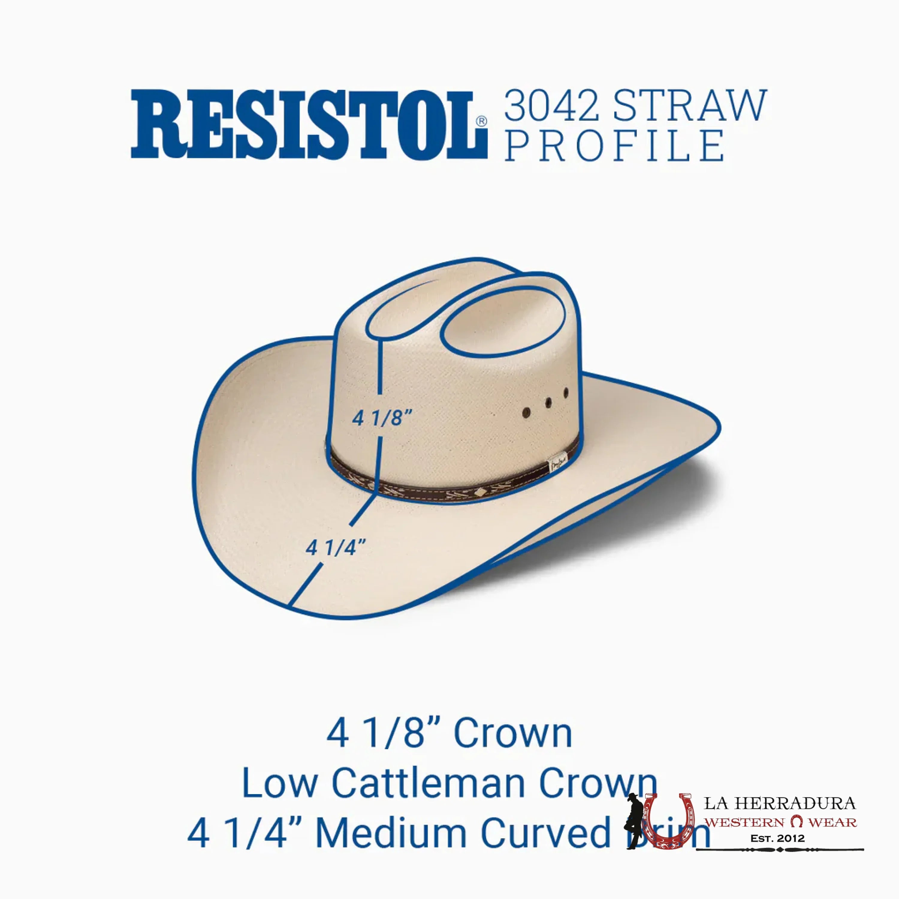 RESISTOL NATURAL LAMBERT 81 10x TEJANA