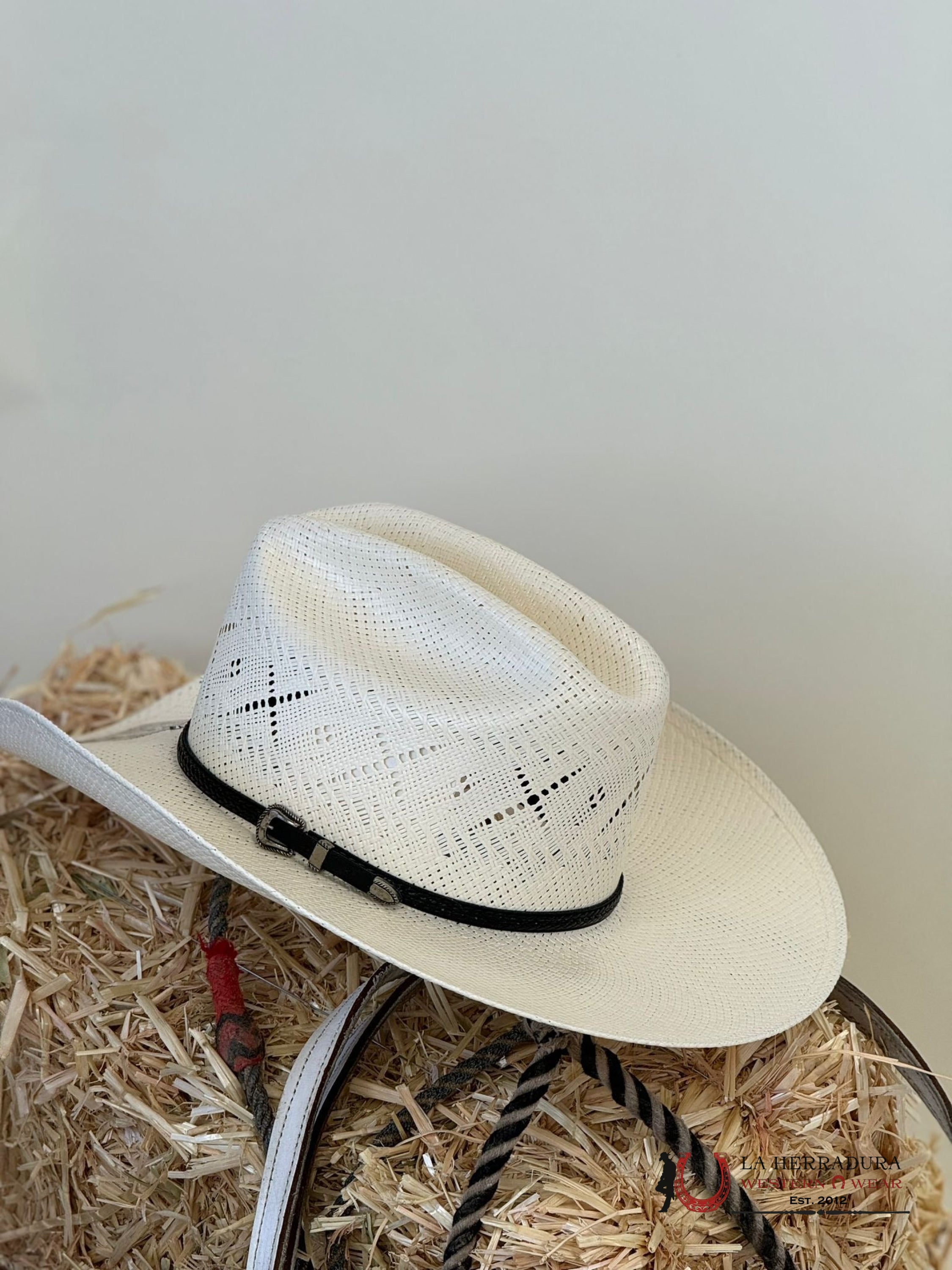 Resistol X George Strait Natural All My Ex’s 20X Straw Hat Tejana