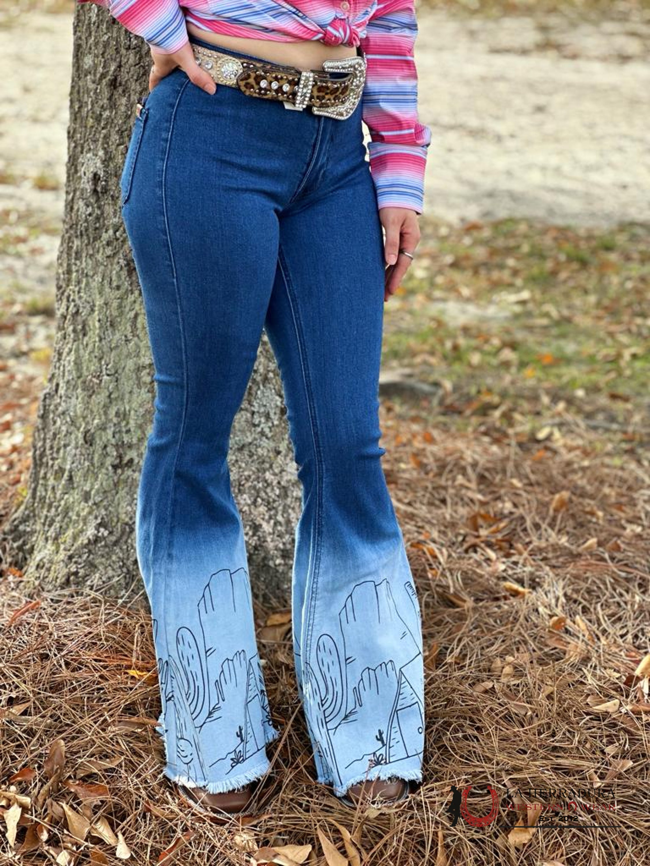 Rock&Roll Blue Ombre Printed Desert Design Flare Jeans Jeans Women